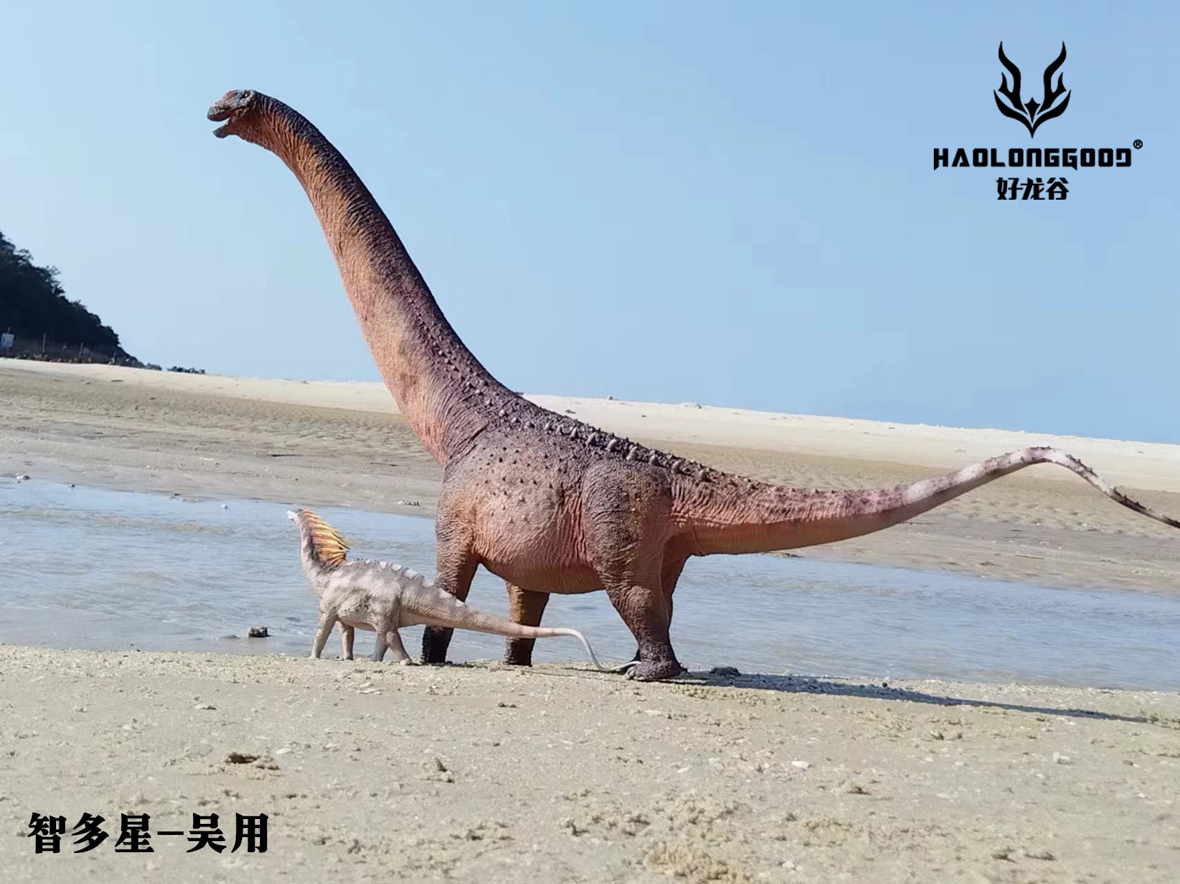 HAOLONGGOOD 1:35 Scale Argentinosaurus Model