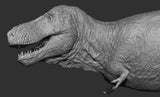 Vlad Konstantinov 1:10 Scale Tyrannosaurus Sue Statue