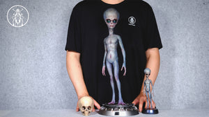 APHID STUDIO Roswell Extraterrestrial Being Model