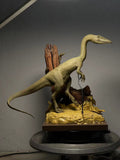 Sensen 1:6 Scale Coelophysis Scene Model