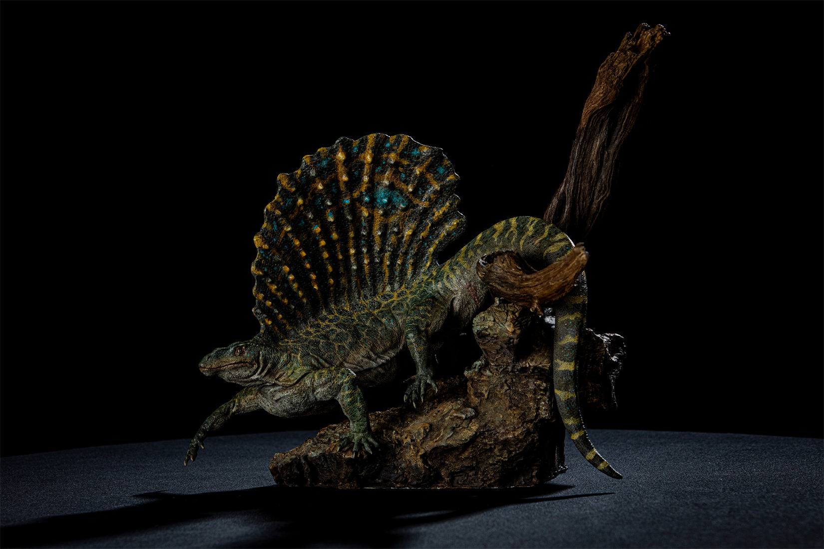 DM 1:5 Scale Edaphosaurus Scene Model