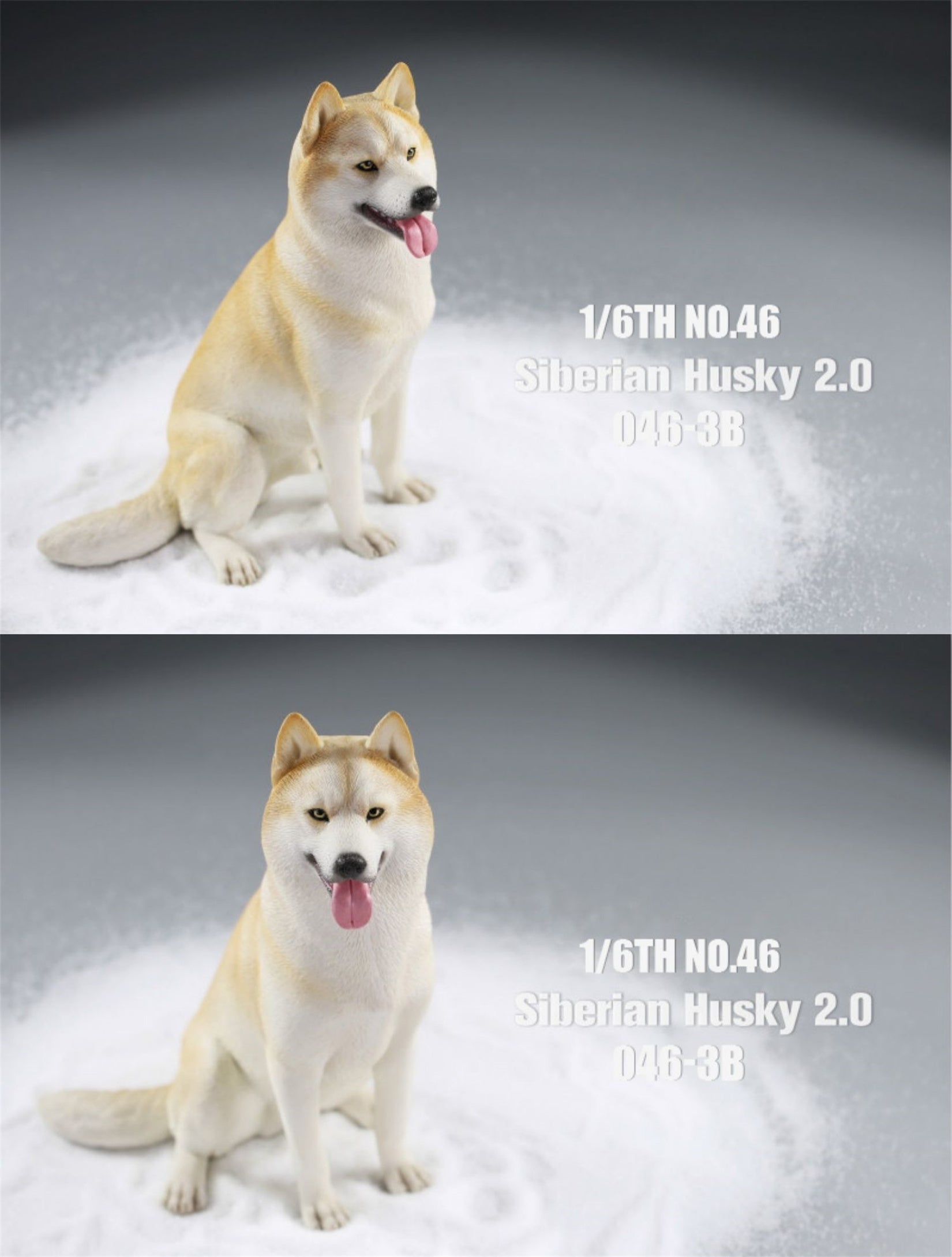JXK 1/6 Siberian Husky 2.0 Figure