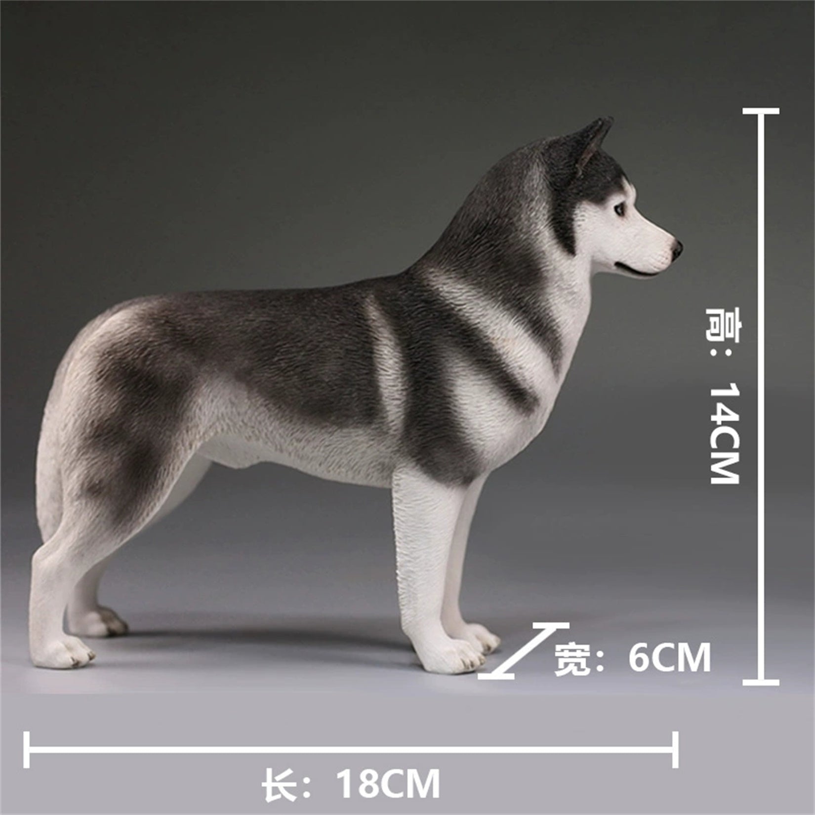 1/6 Siberian Husky Figure