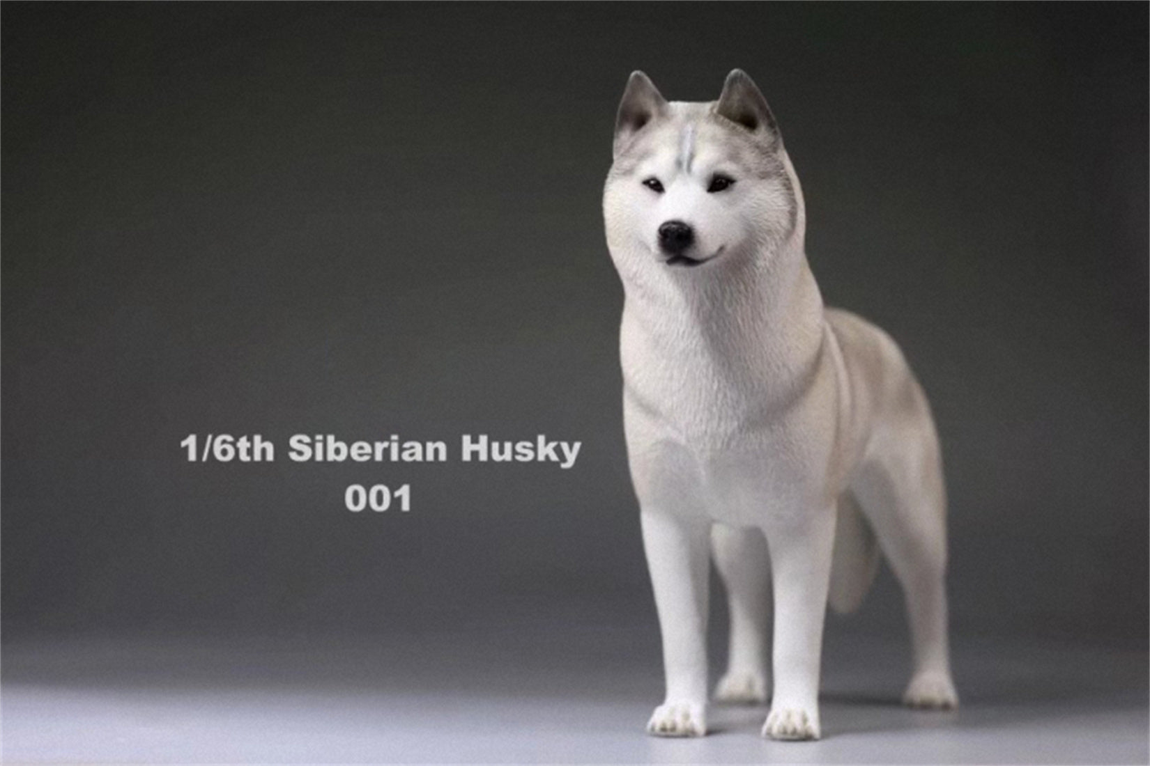 1/6 Siberian Husky Figure