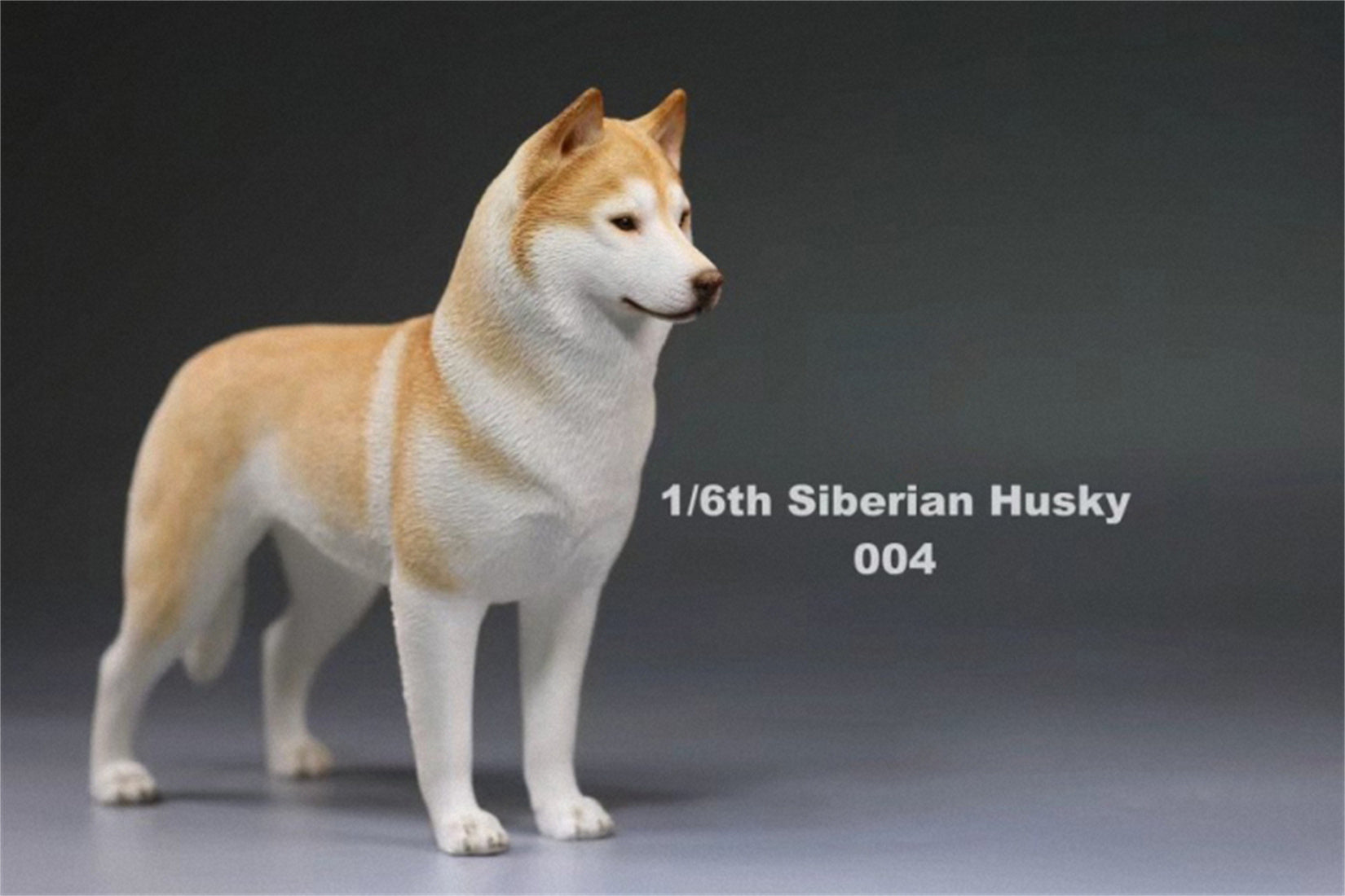 1/6 Siberian Husky Figure