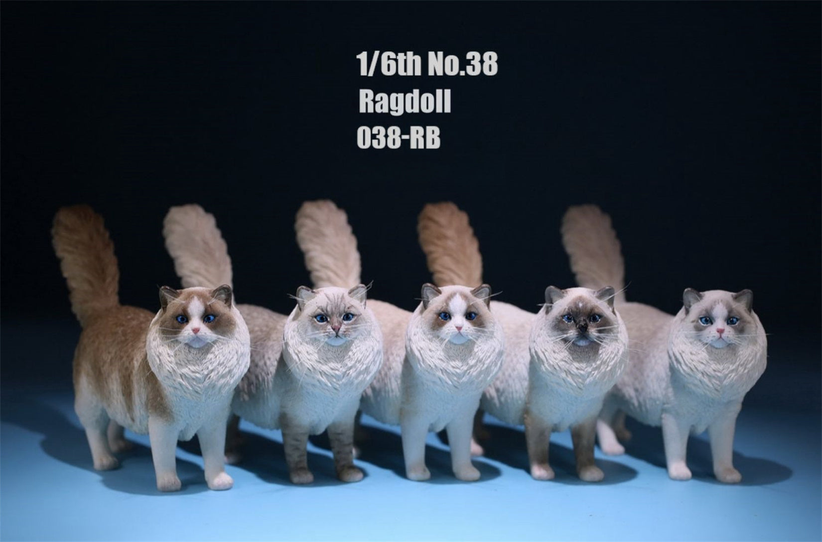 1/6 Ragdoll Figure