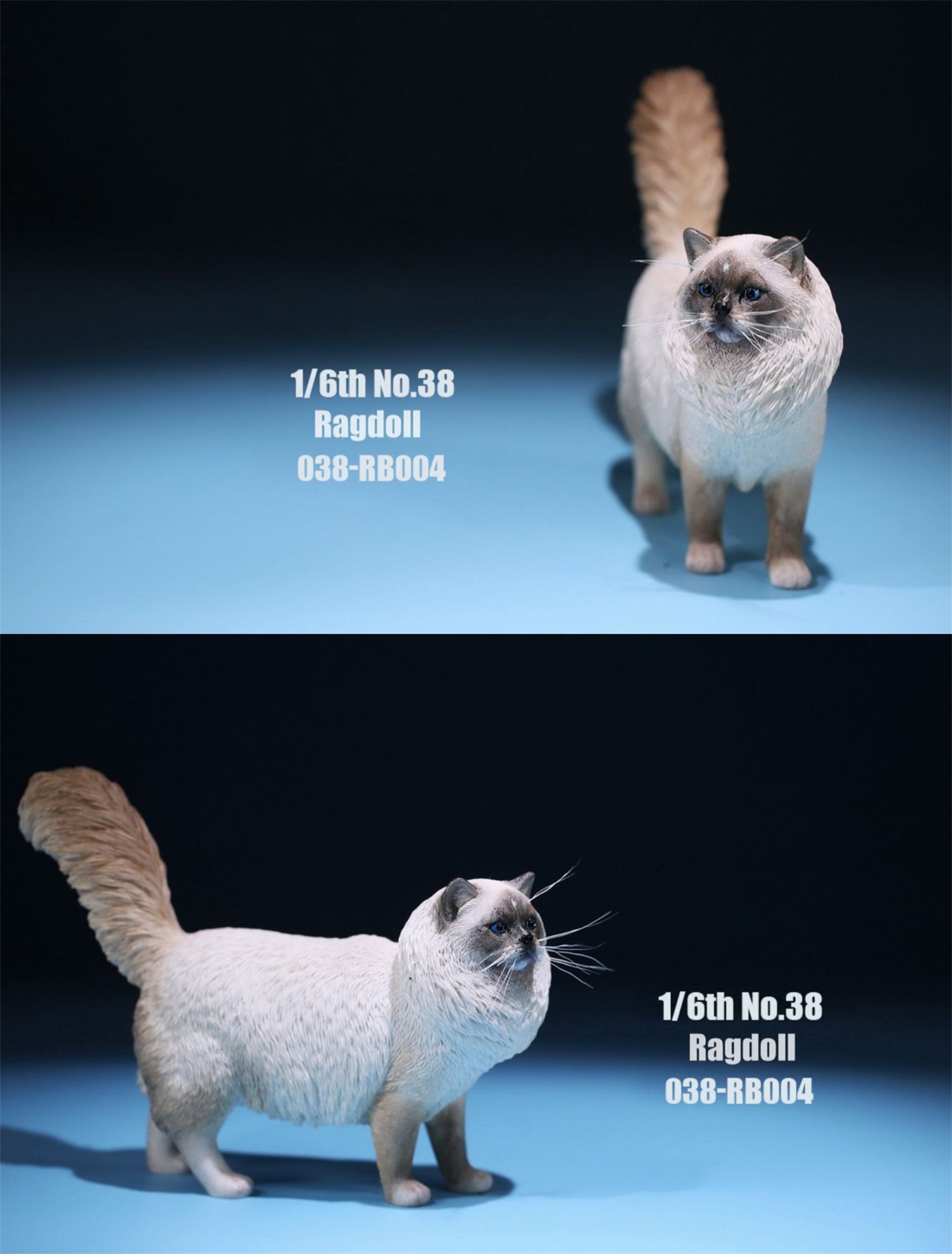 1/6 Ragdoll Figure