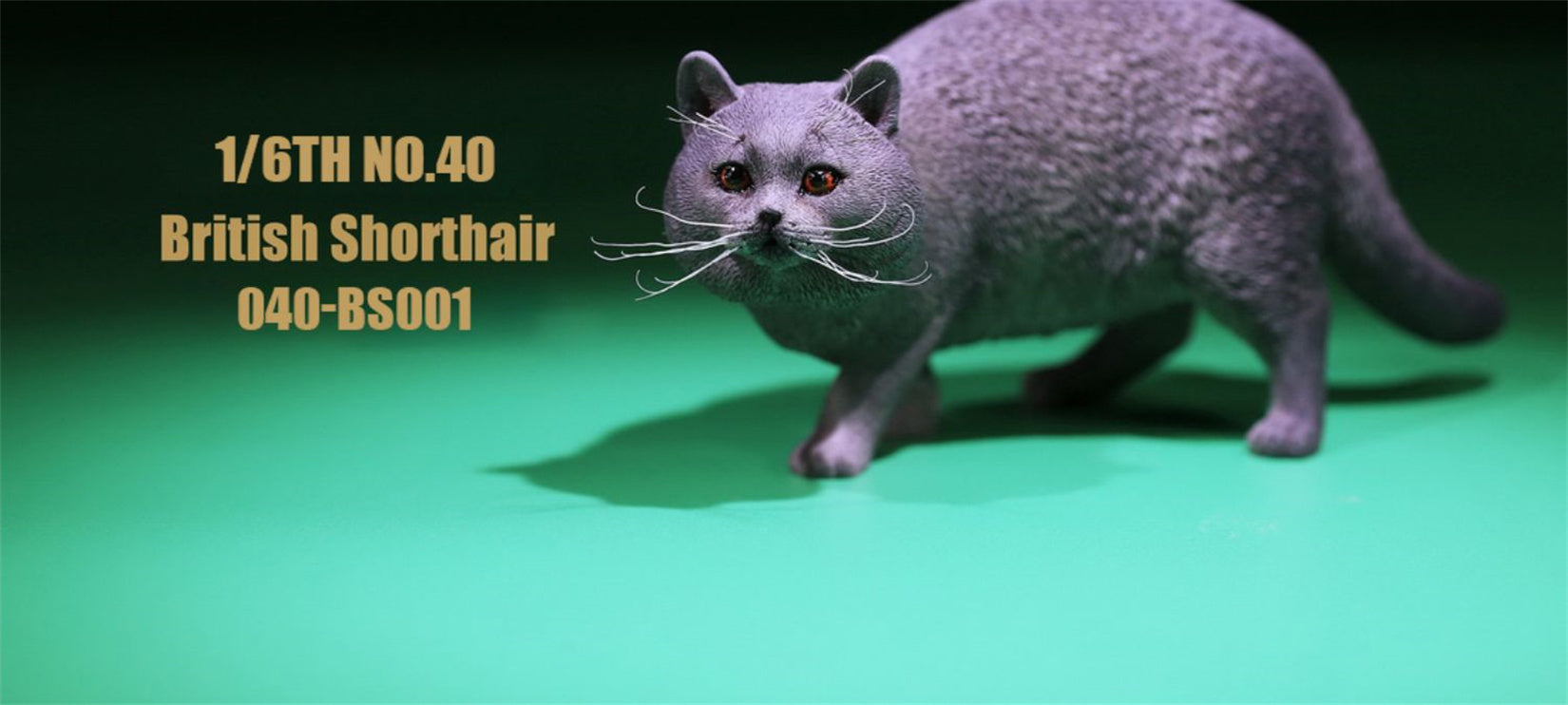 1/6 British Shorthair Figure