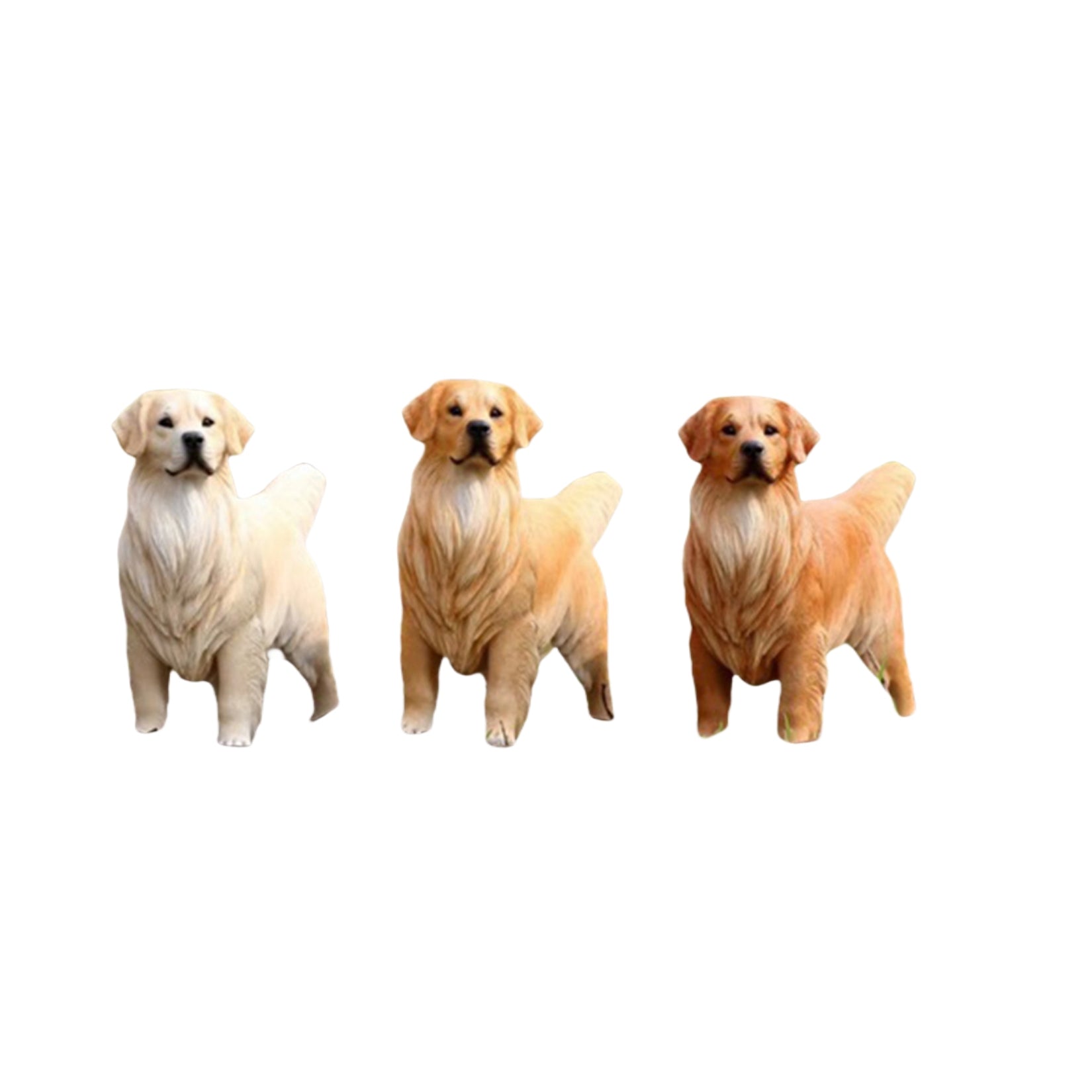 1/6 Golden Retriever Figure