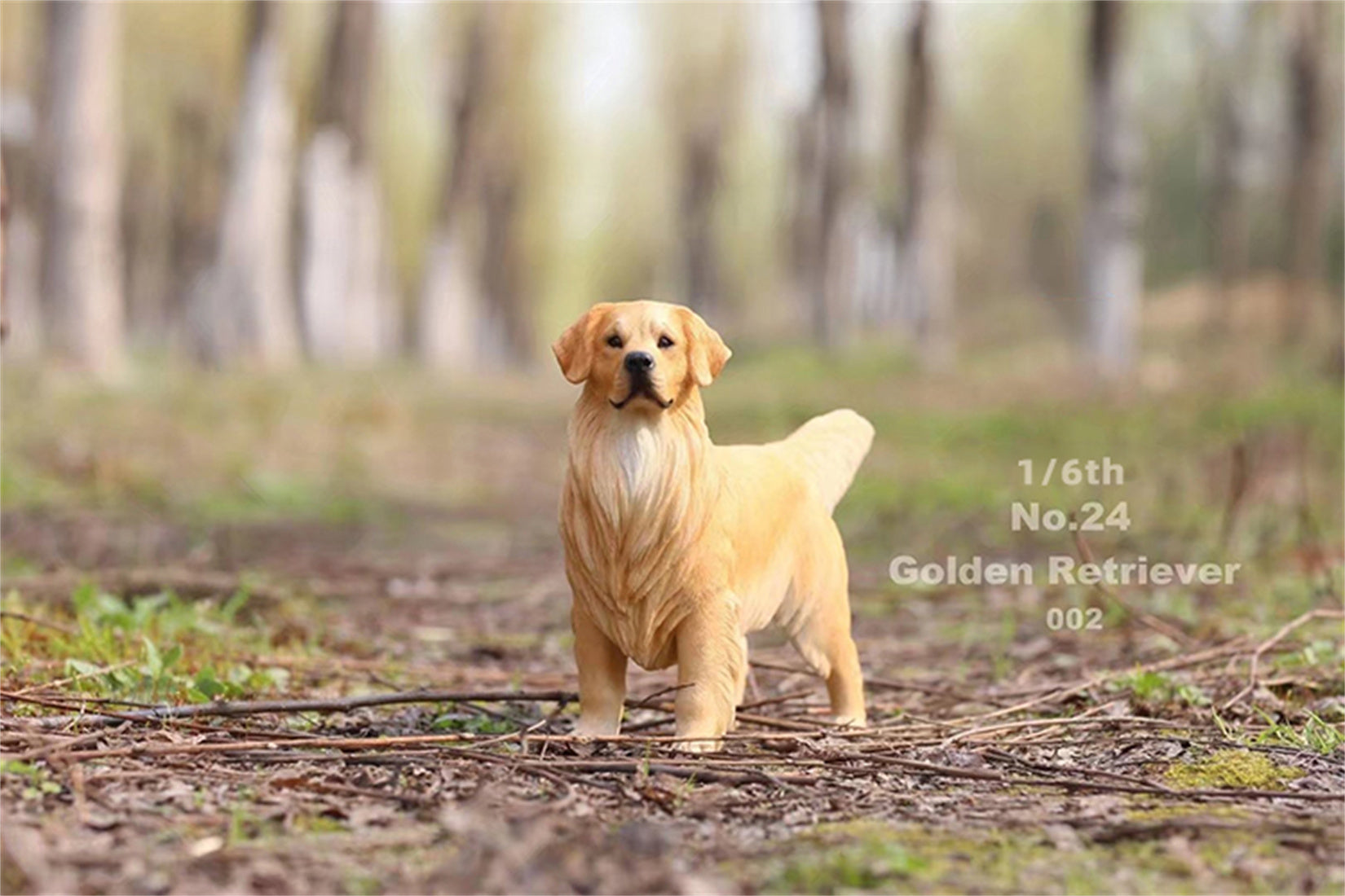 1/6 Golden Retriever Figure