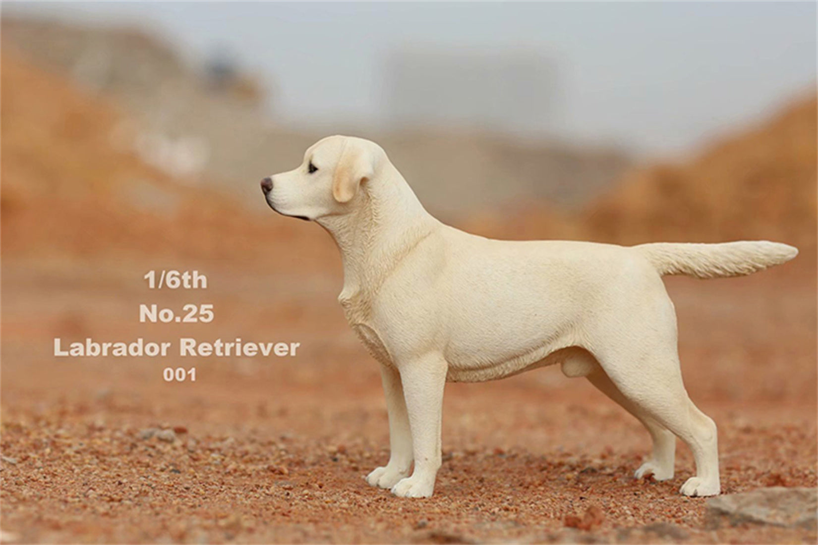 1/6 Labrador Retriever Figure