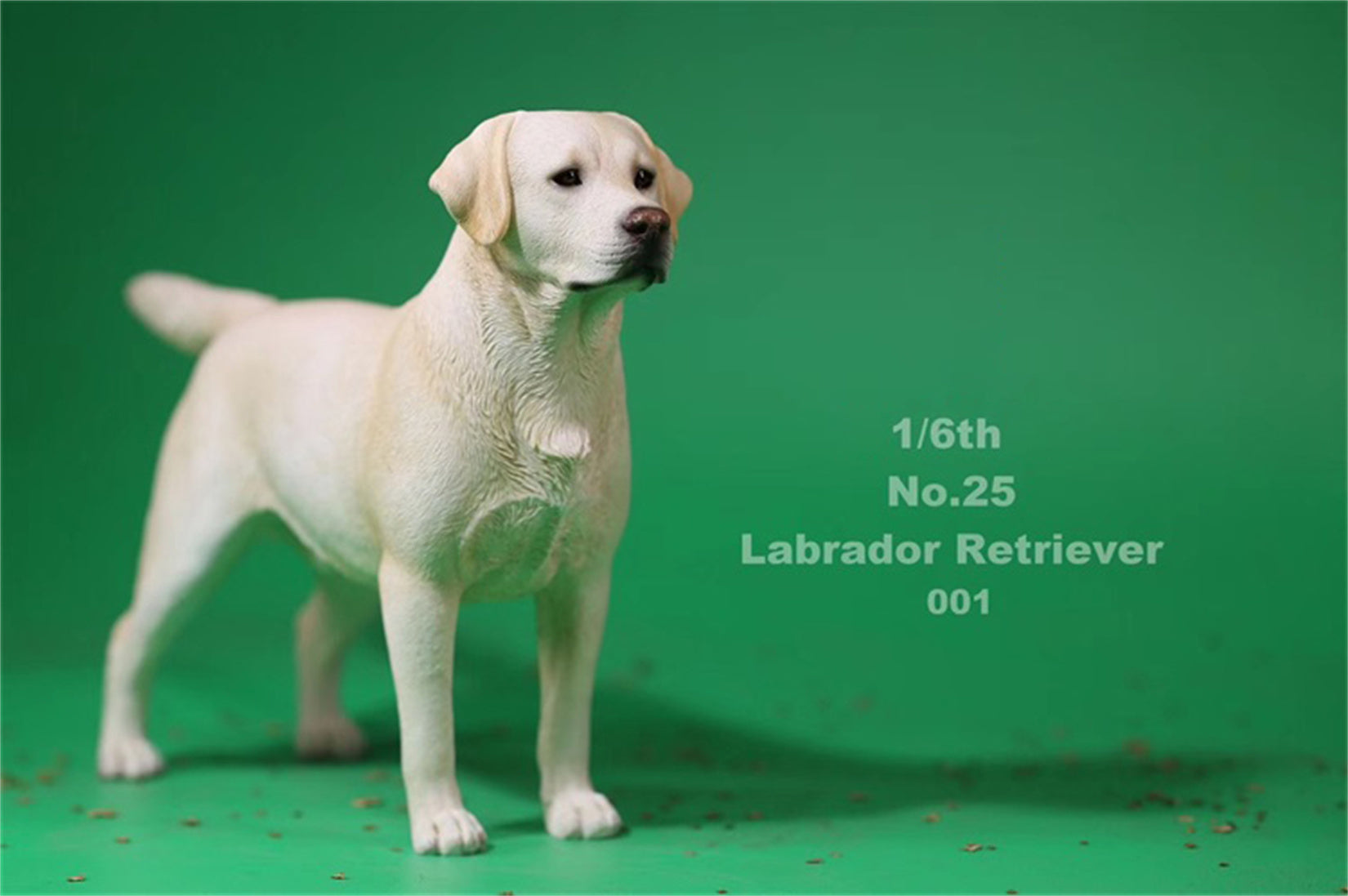 1/6 Labrador Retriever Figure