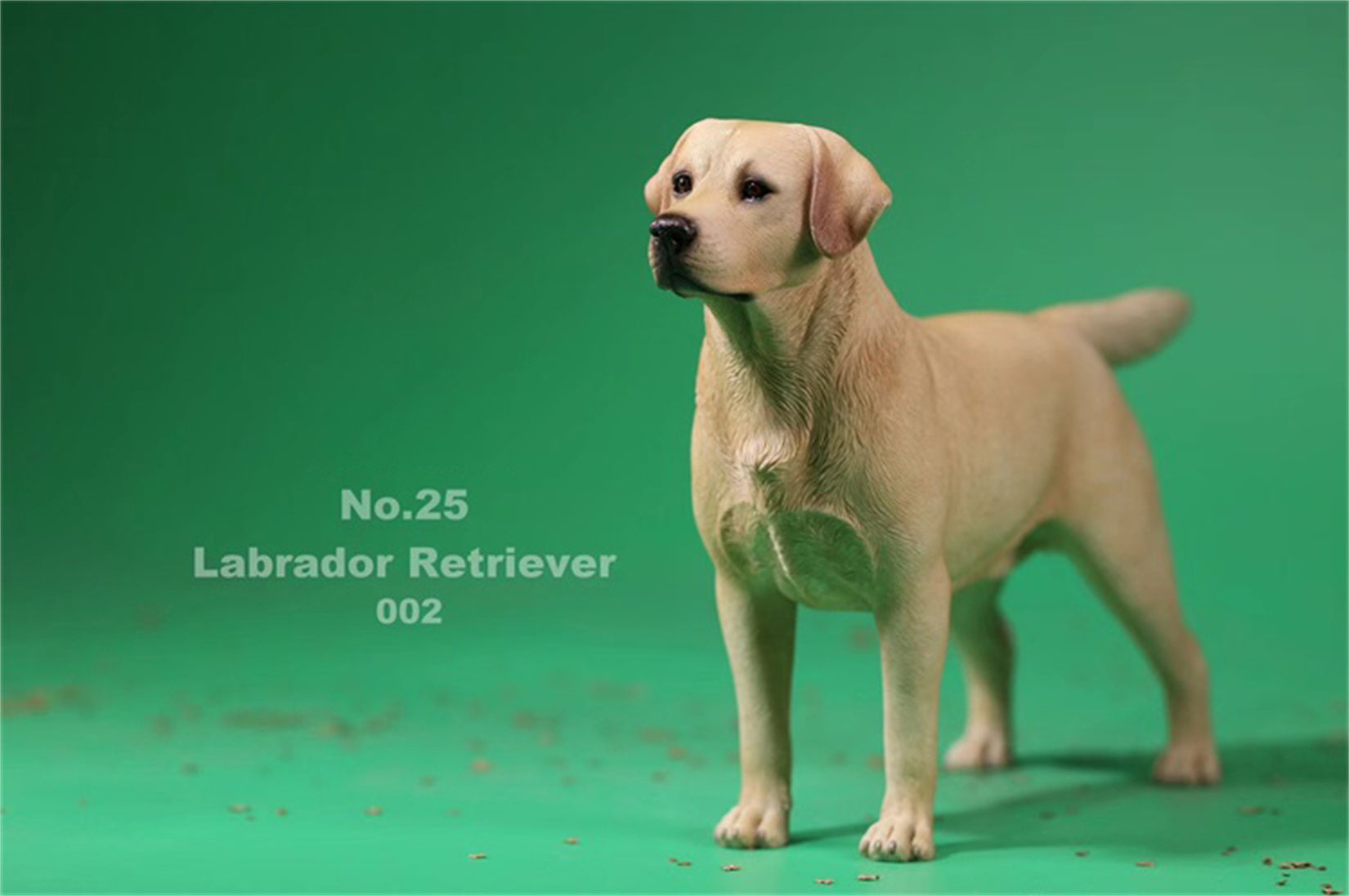 1/6 Labrador Retriever Figure