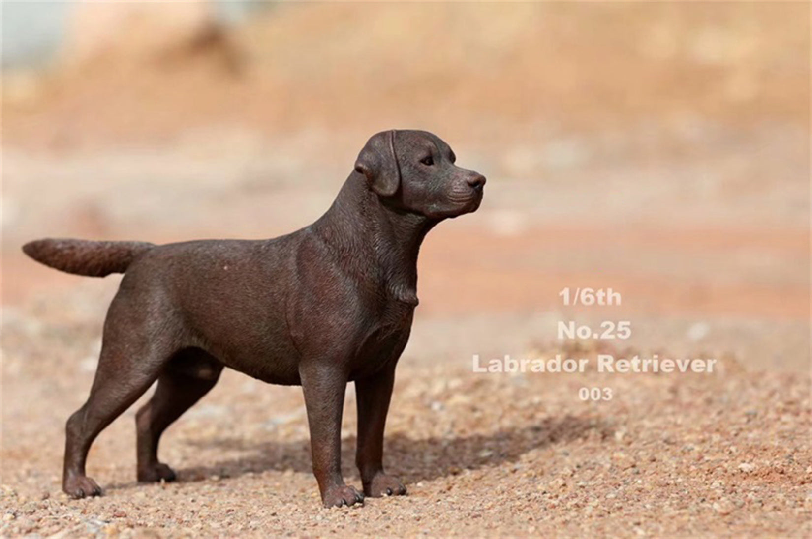 1/6 Labrador Retriever Figure