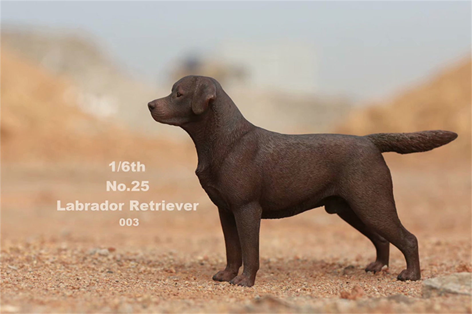 1/6 Labrador Retriever Figure