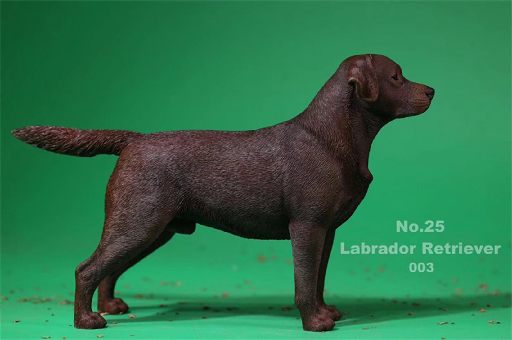 1/6 Labrador Retriever Figure