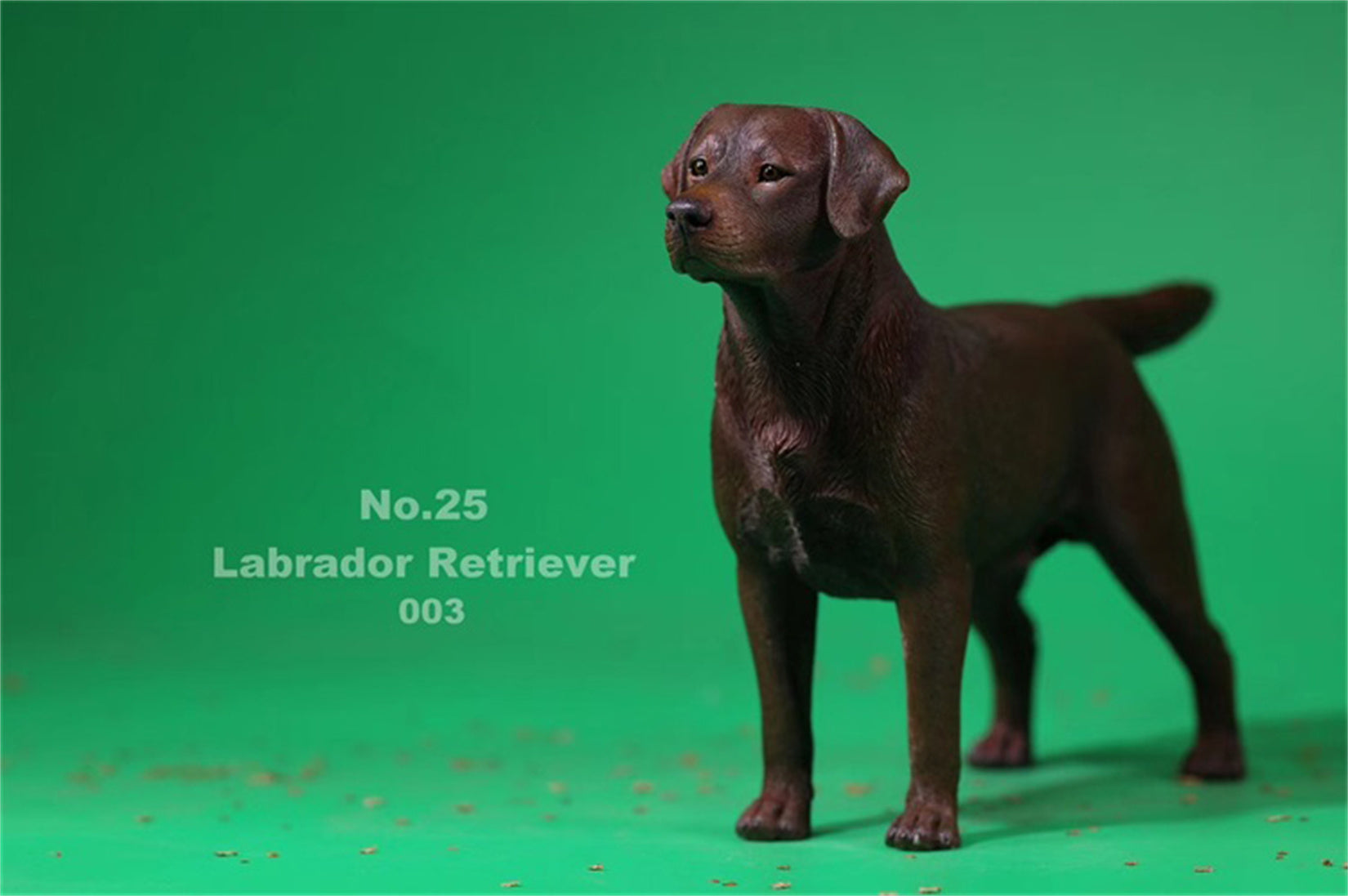 1/6 Labrador Retriever Figure