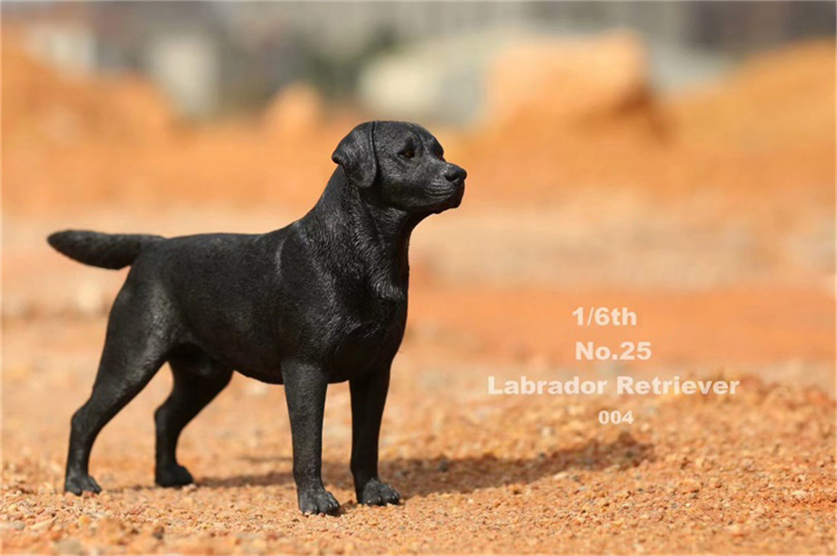 1/6 Labrador Retriever Figure