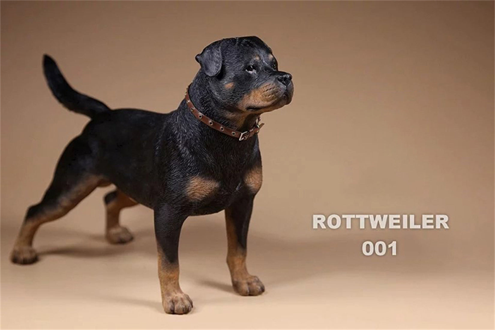 1/6 Rottweiler Loyal Dog Figure