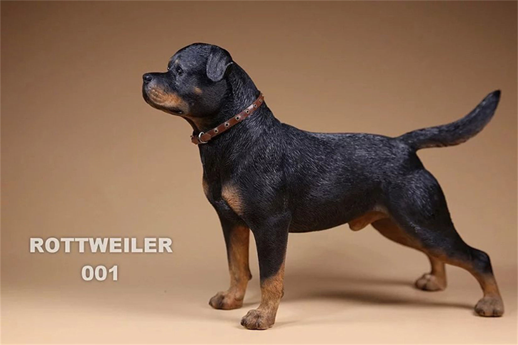 1/6 Rottweiler Loyal Dog Figure
