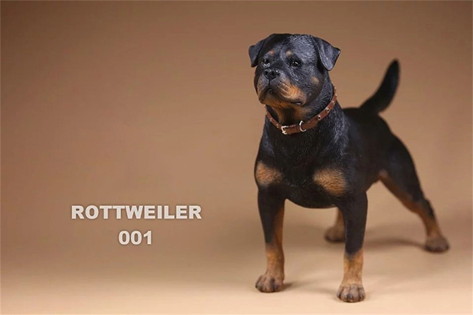 1/6 Rottweiler Loyal Dog Figure