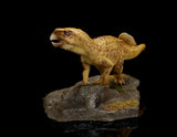 LANATIMESHOP Psittacosaurus mongoliensis Peppy Model