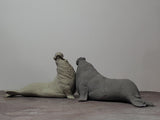 TUNAN Studio 1/15~18 Scale Southern elephant-seal Model