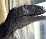 Aokhan Studio Giganotosaurus Scene Model
