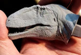 Aokhan Studio Giganotosaurus Scene Model