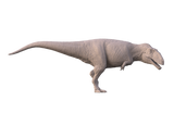 Aokhan Studio 1/20 Scale Giganotosaurus Scene Model