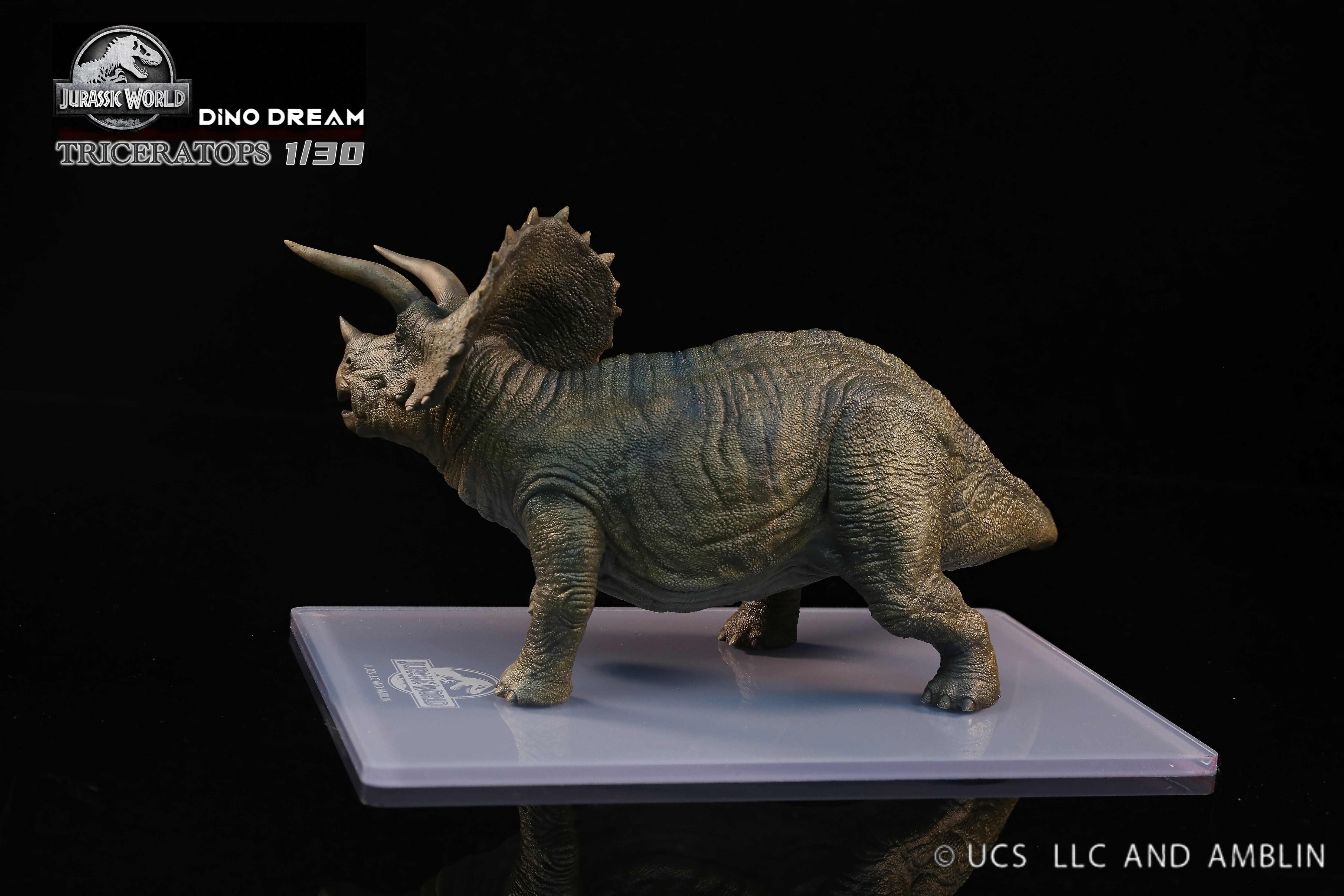 DINO DREAM 1:30 Scale Triceratops Statue
