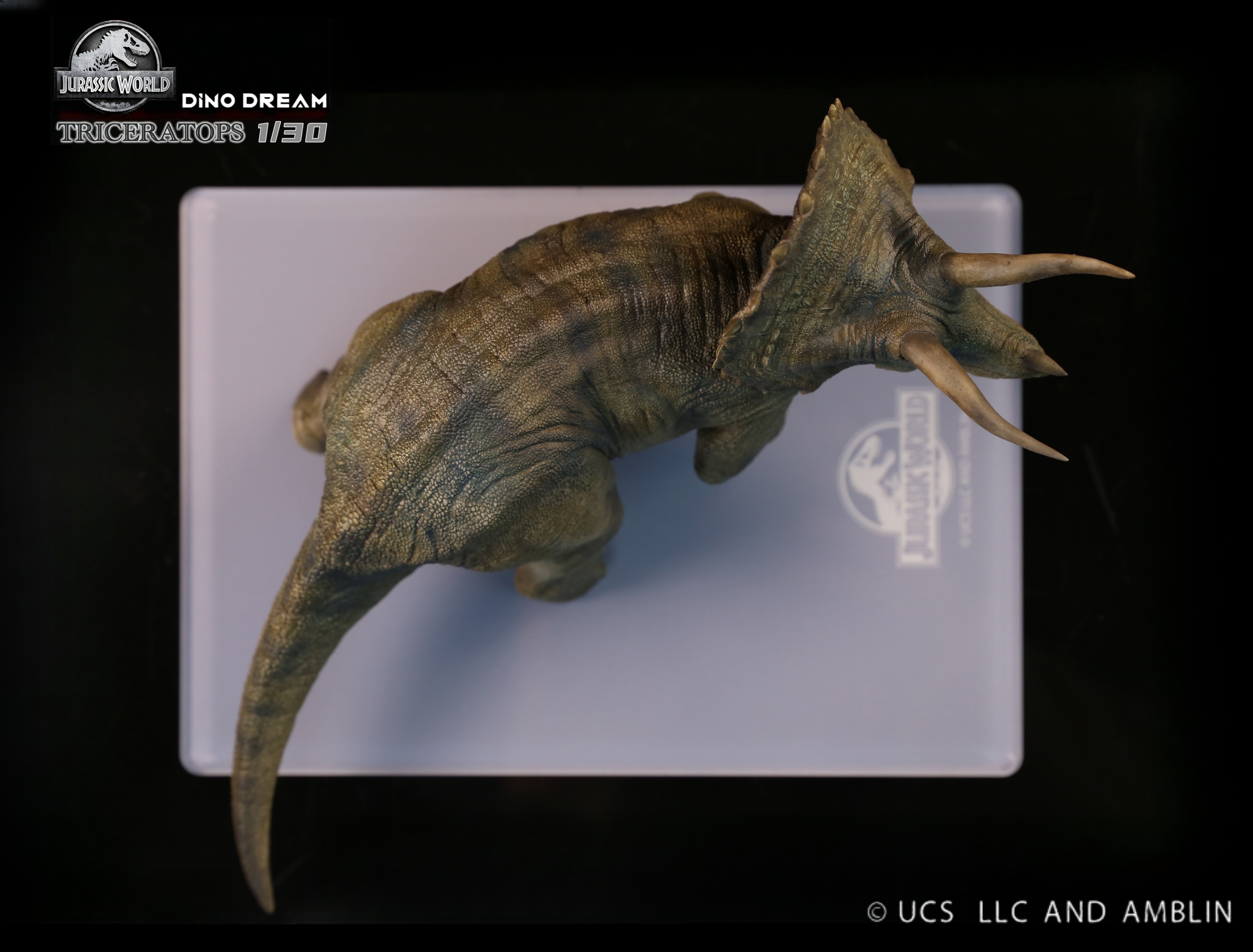 DINO DREAM 1:30 Scale Triceratops Statue