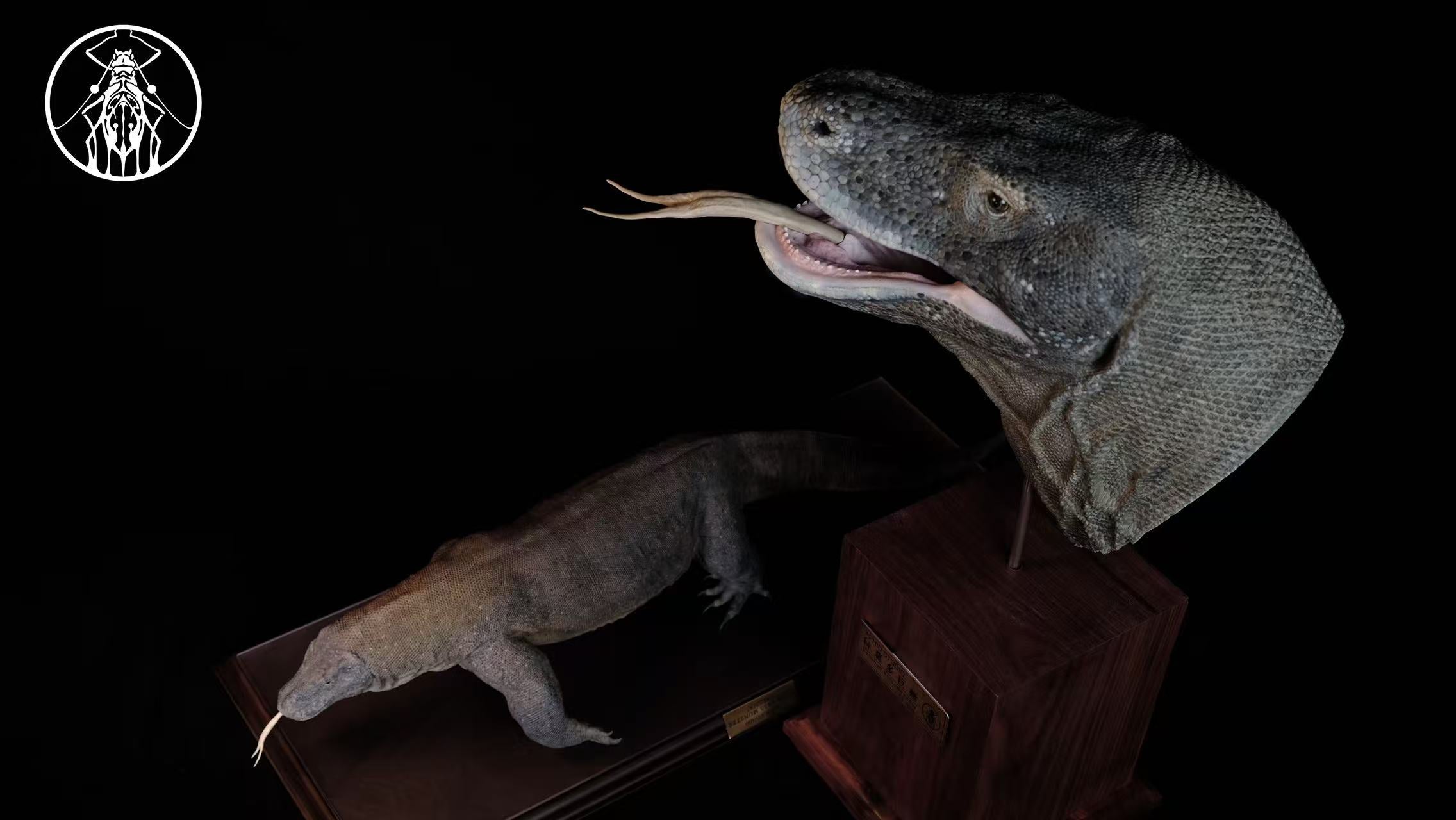 APHID STUDIO Komodo Dragon Model