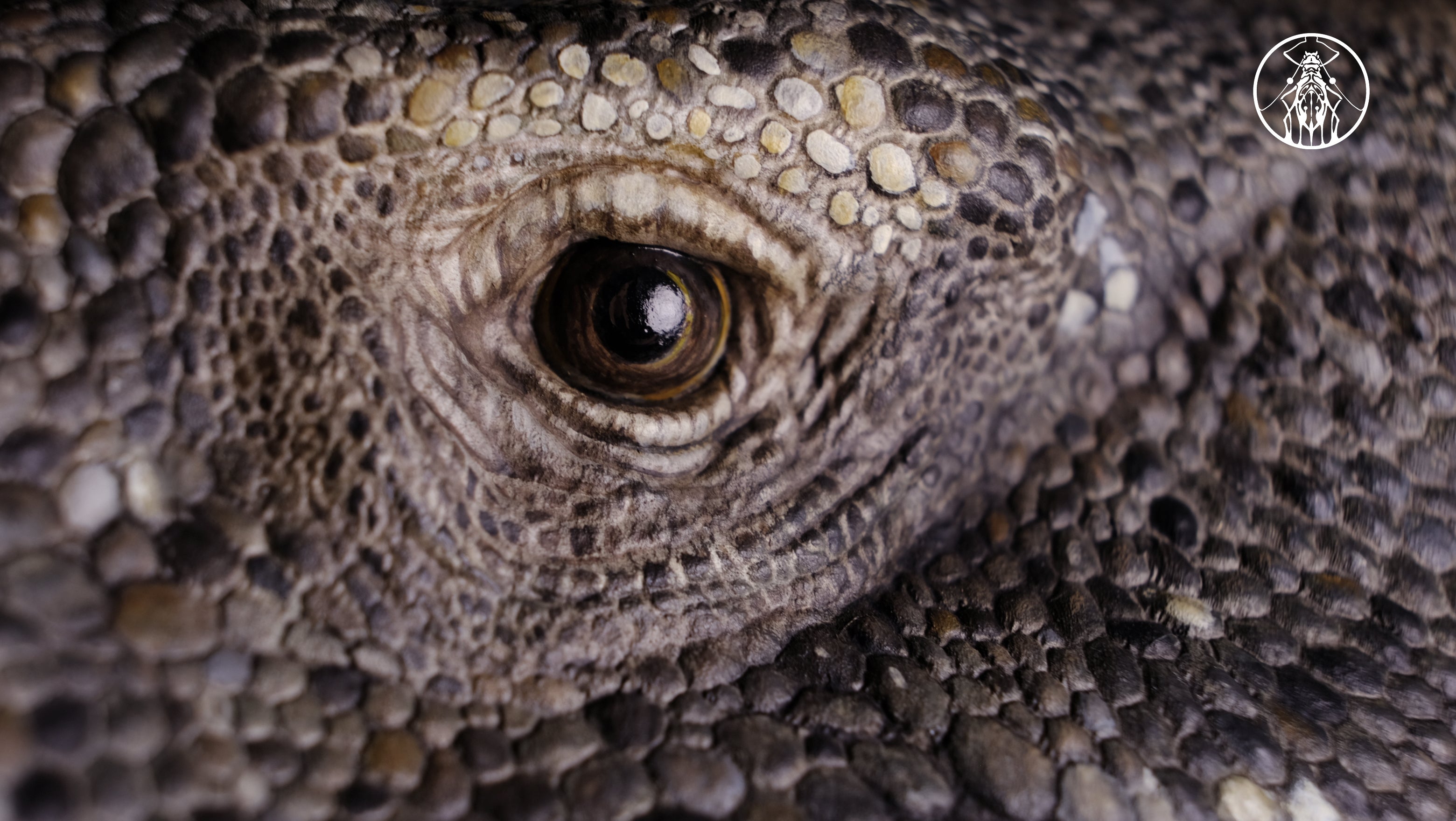 APHID STUDIO Komodo Dragon Model