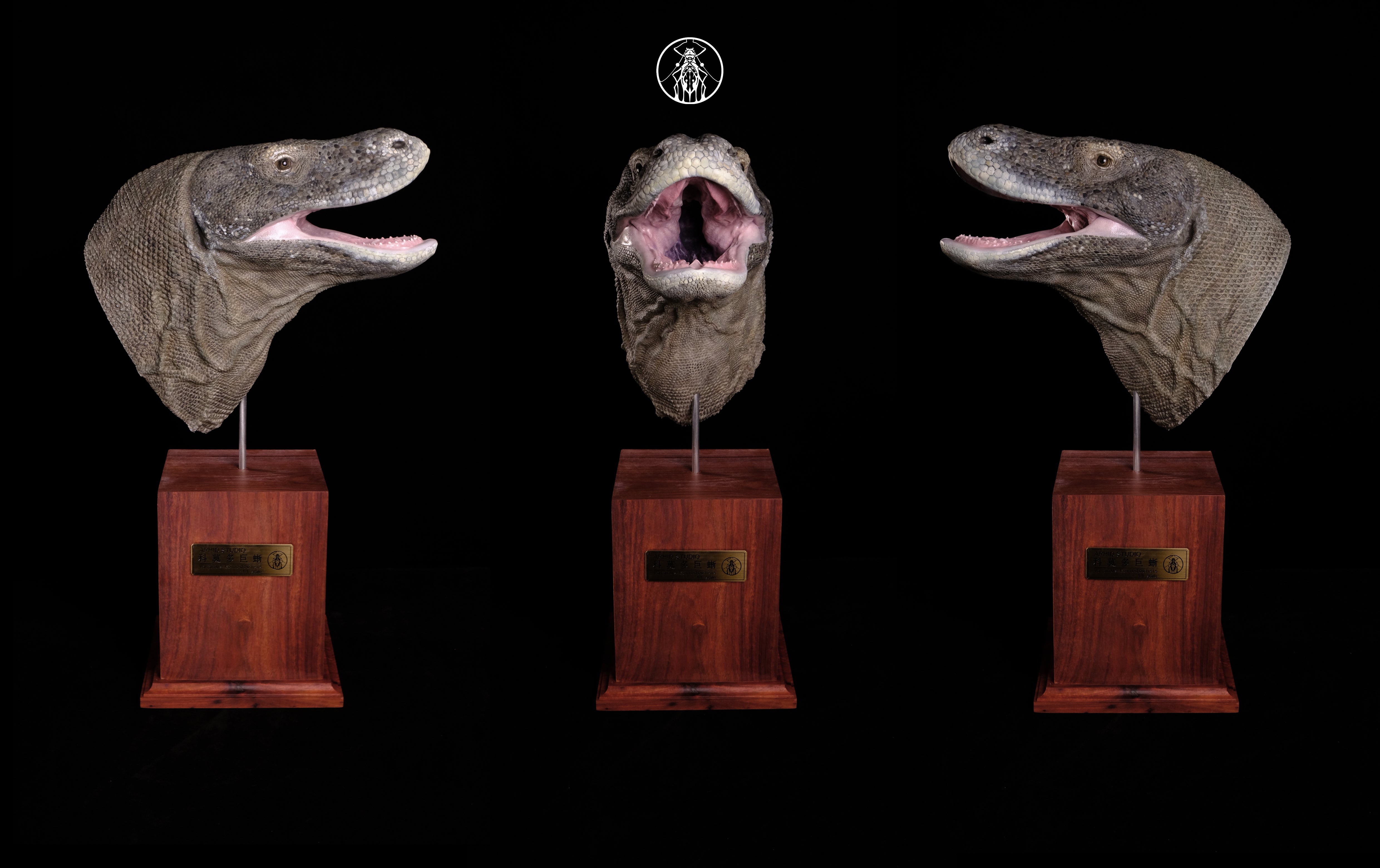 APHID STUDIO Komodo Dragon Model