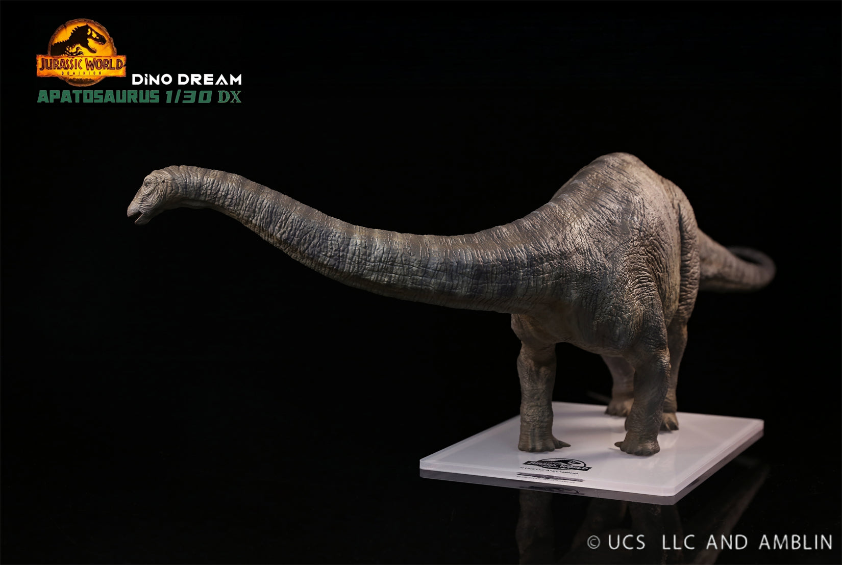DINO DREAM 1:30 Scale Apatosaurus Model