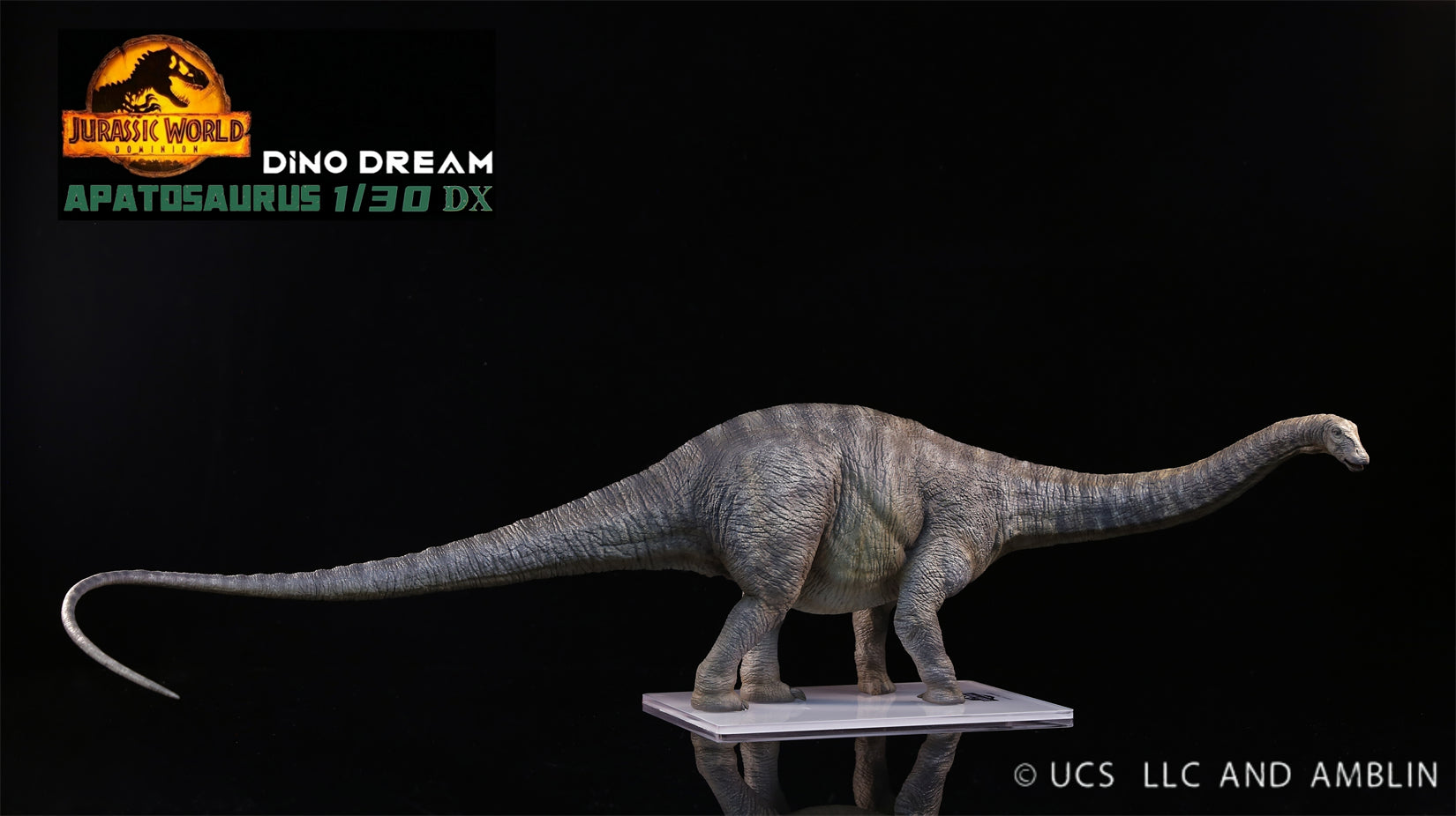 DINO DREAM 1:30 Scale Apatosaurus Model