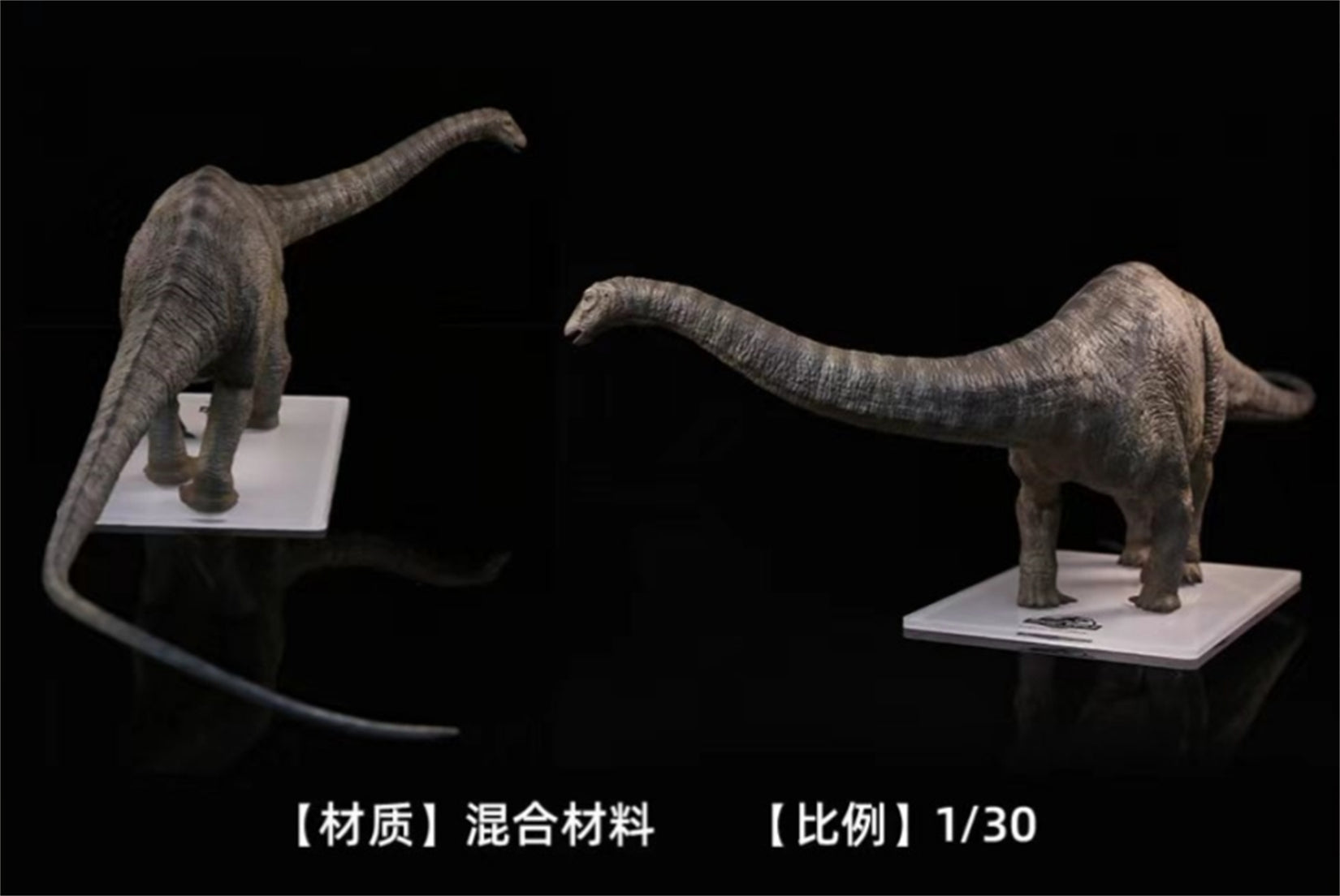 DINO DREAM 1:30 Scale Apatosaurus Model