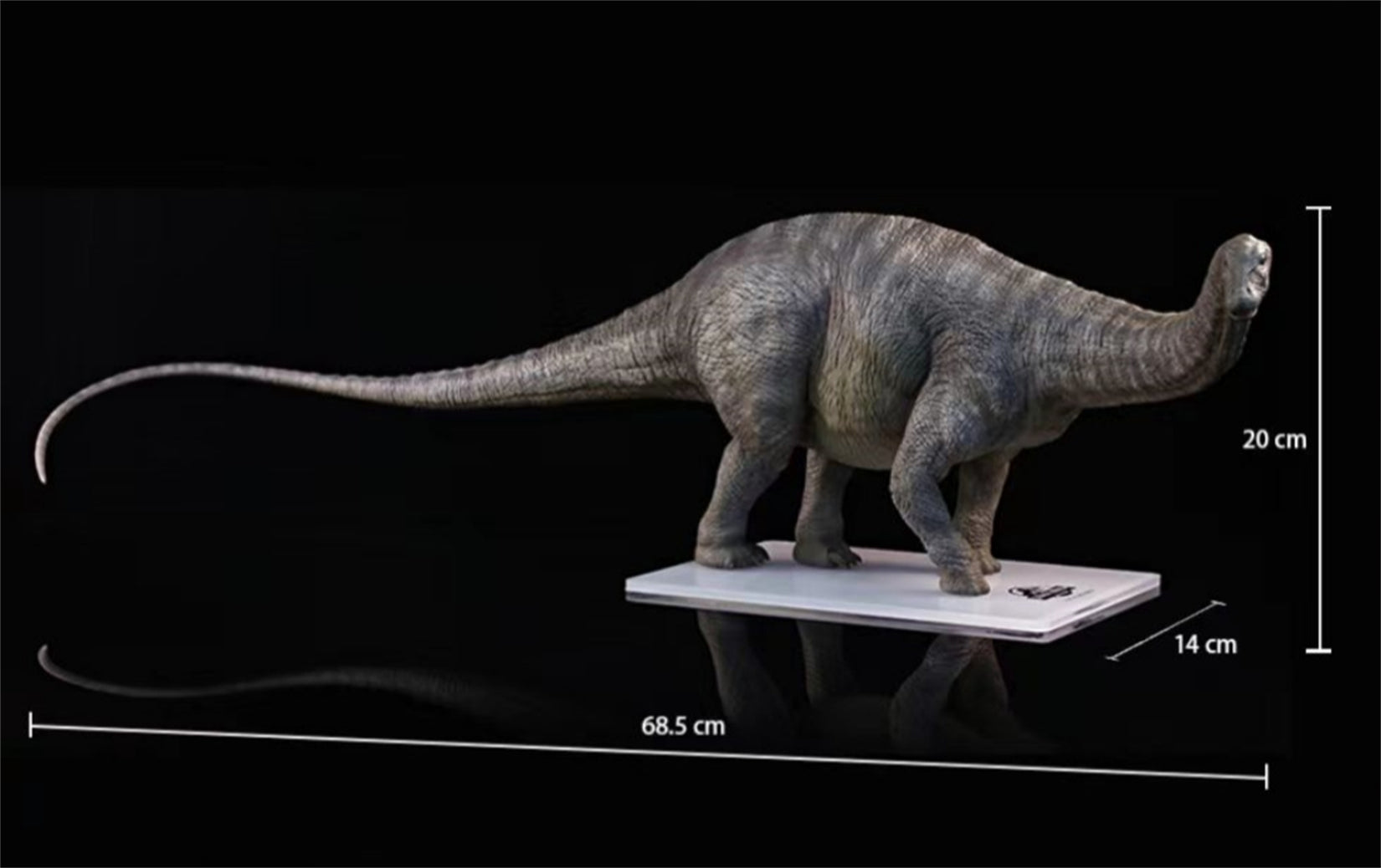 DINO DREAM 1:30 Scale Apatosaurus Model