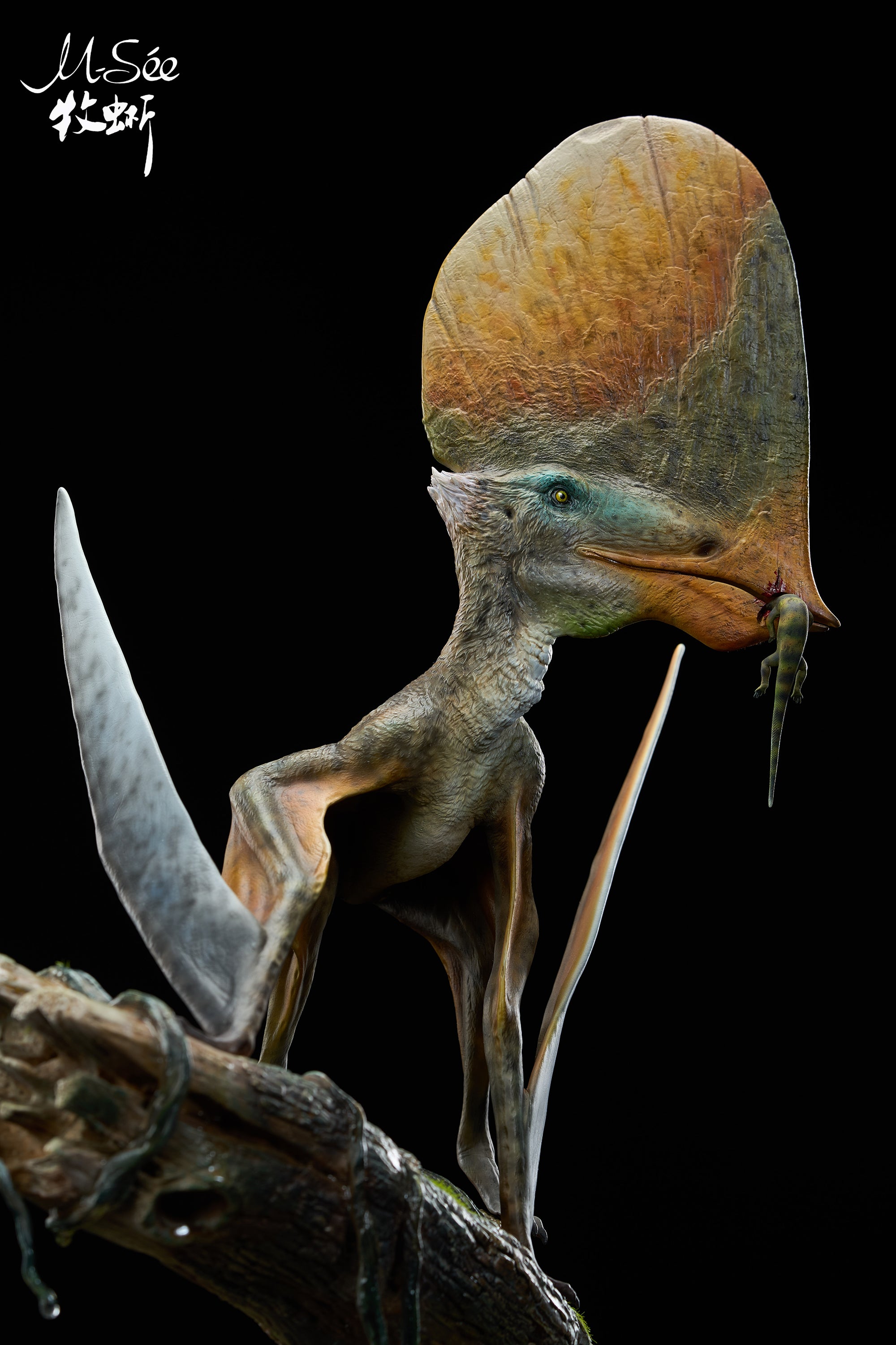 MuSee Studio 1/3 Scale Caiuajara dobruskii Model