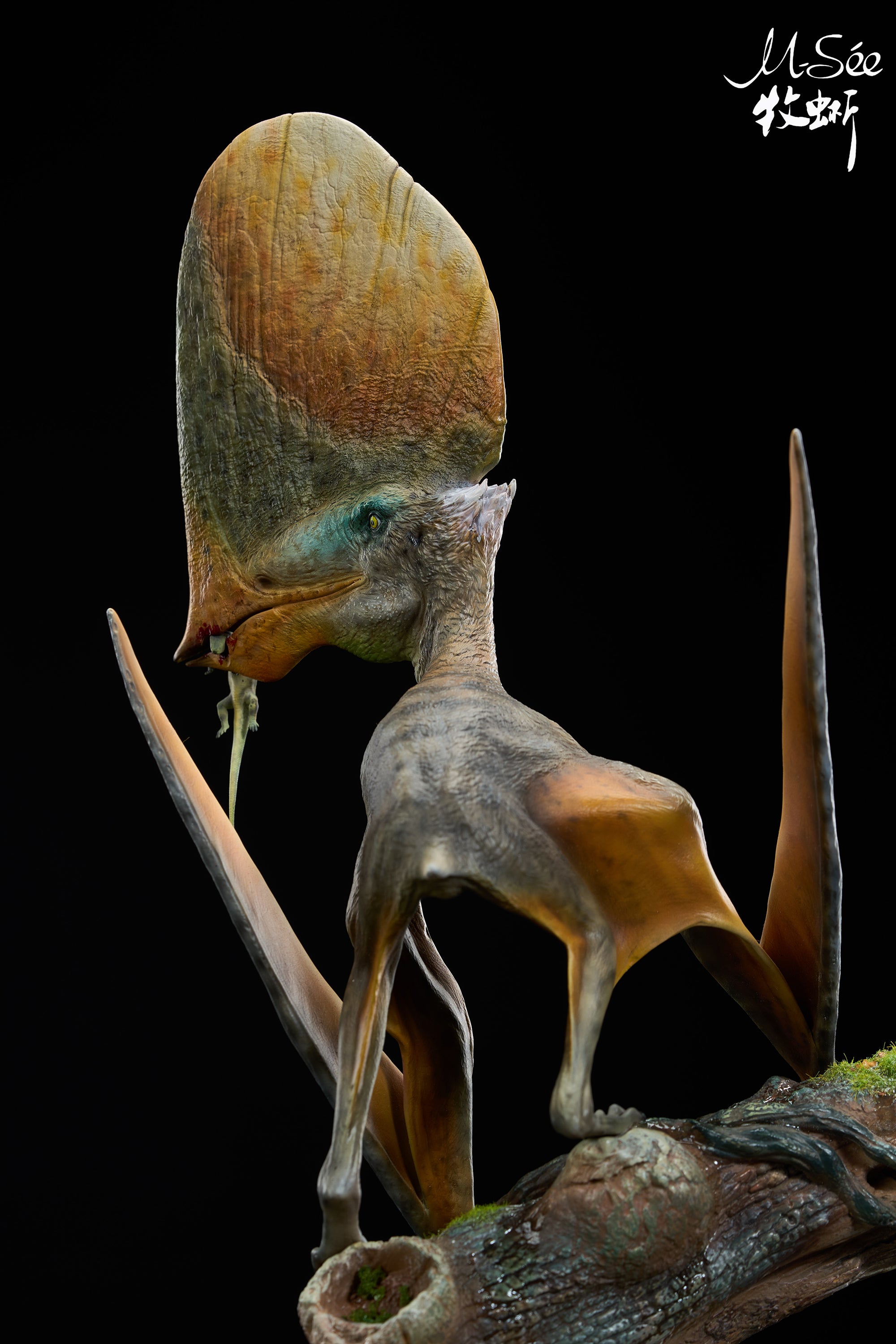 MuSee Studio 1/3 Scale Caiuajara dobruskii Model