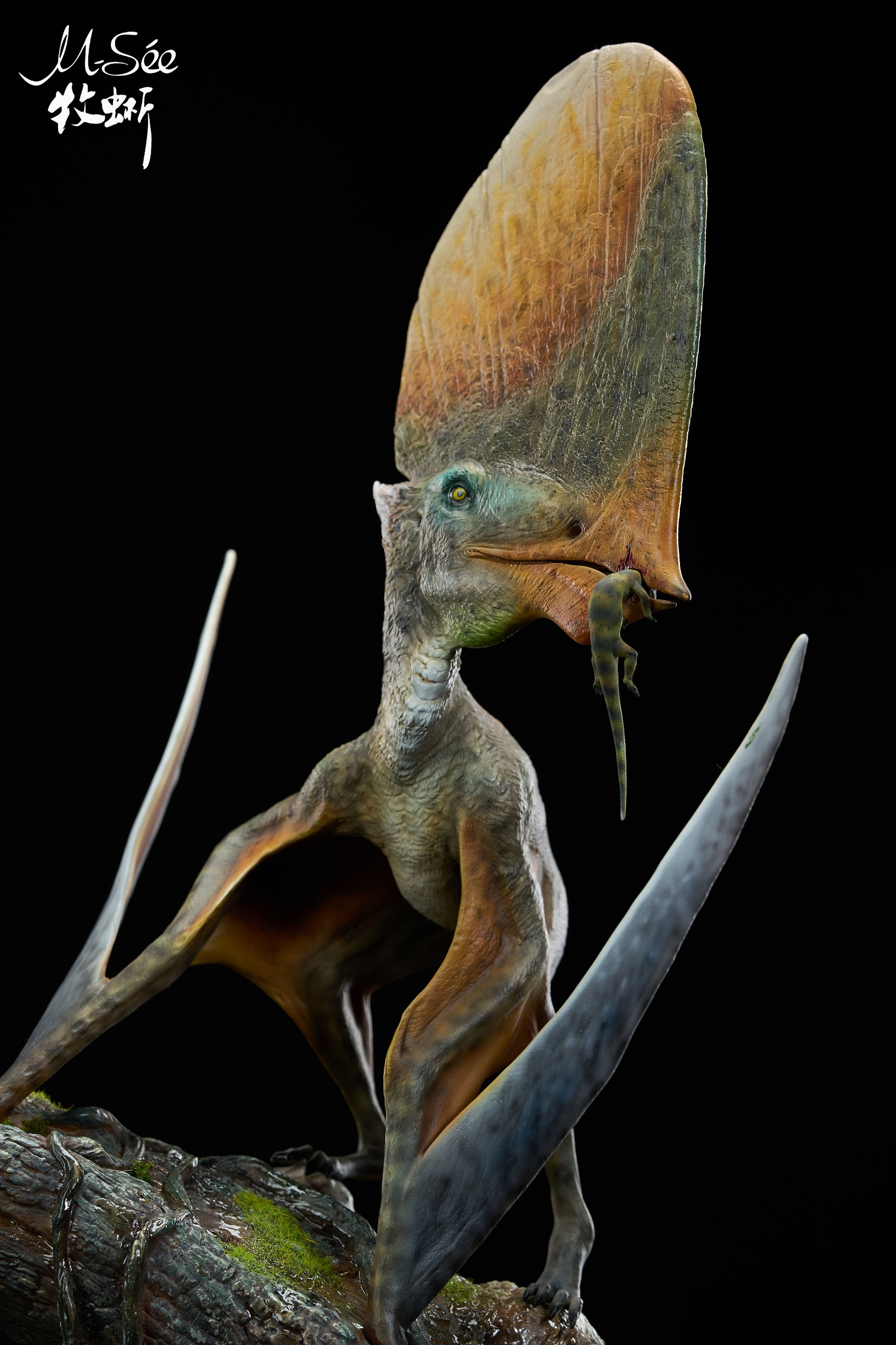 MuSee Studio 1/3 Scale Caiuajara dobruskii Model