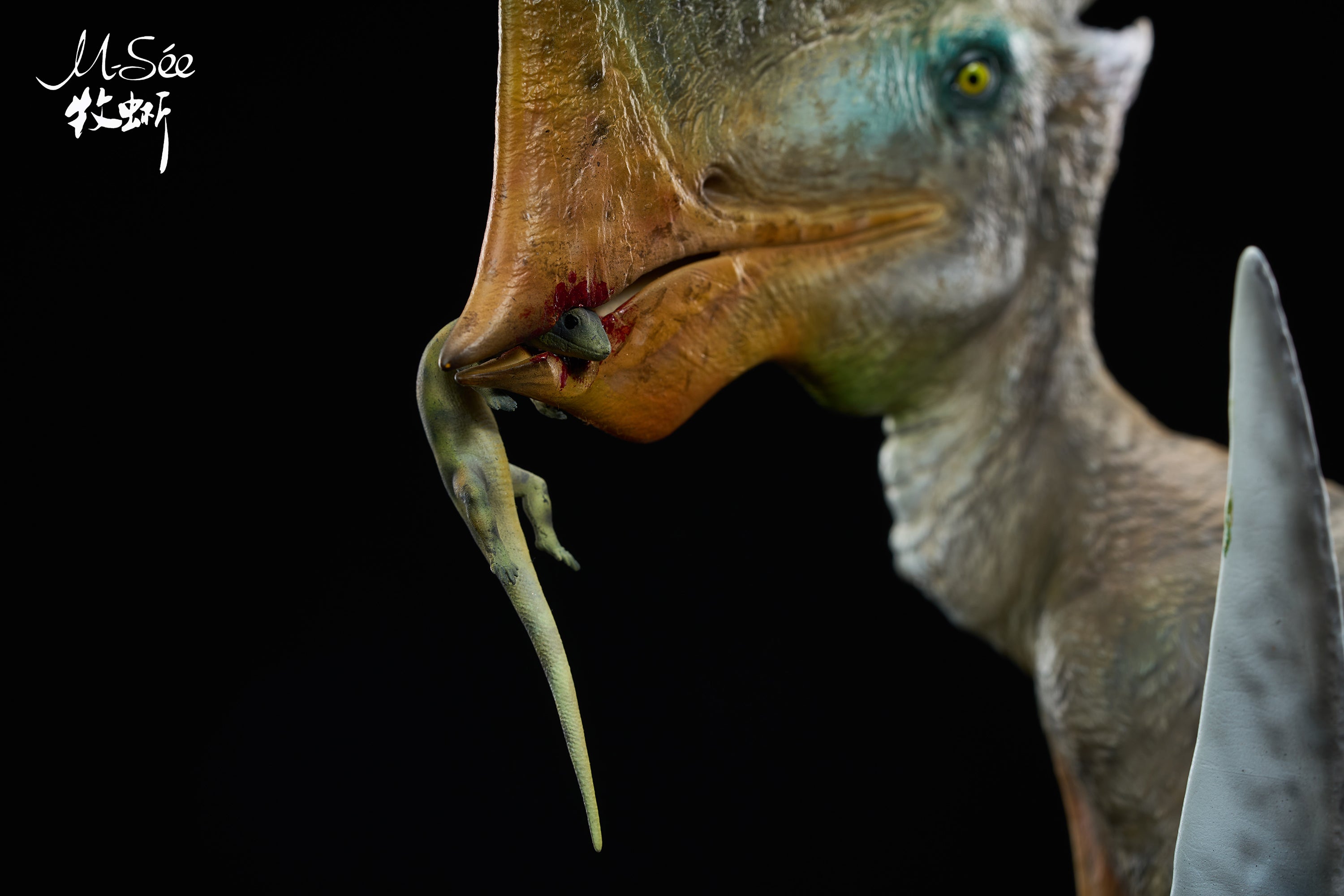 MuSee Studio 1/3 Scale Caiuajara dobruskii Model