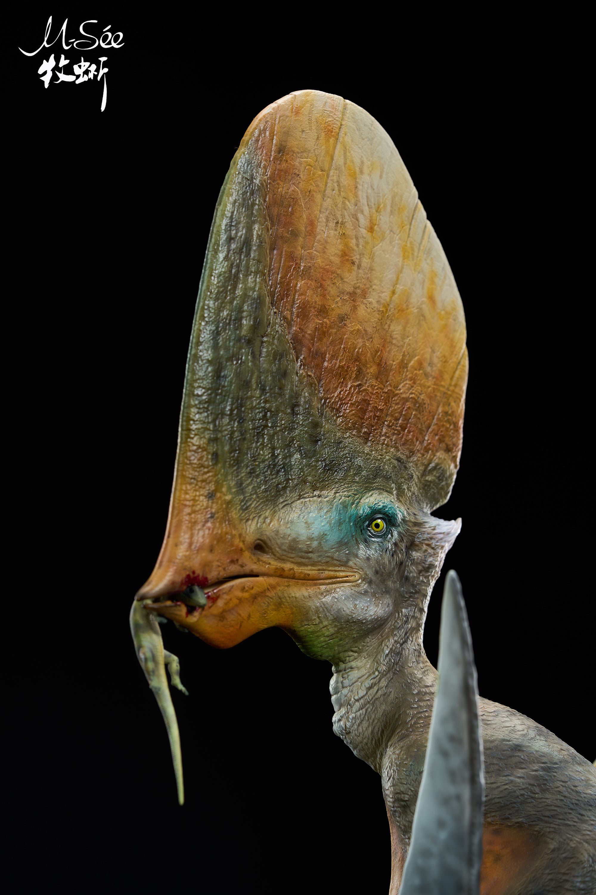 MuSee Studio 1/3 Scale Caiuajara dobruskii Model