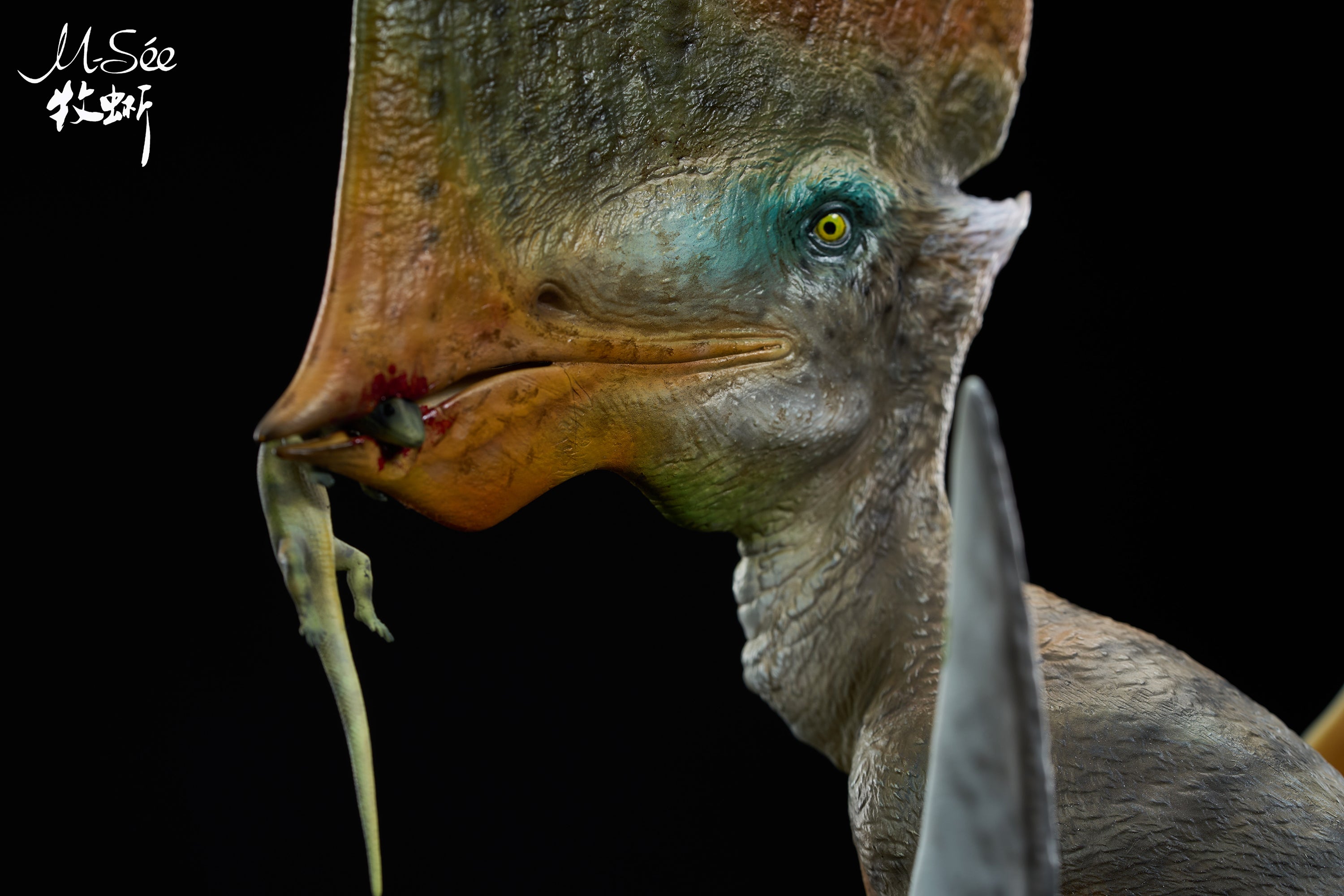 MuSee Studio 1/3 Scale Caiuajara dobruskii Model