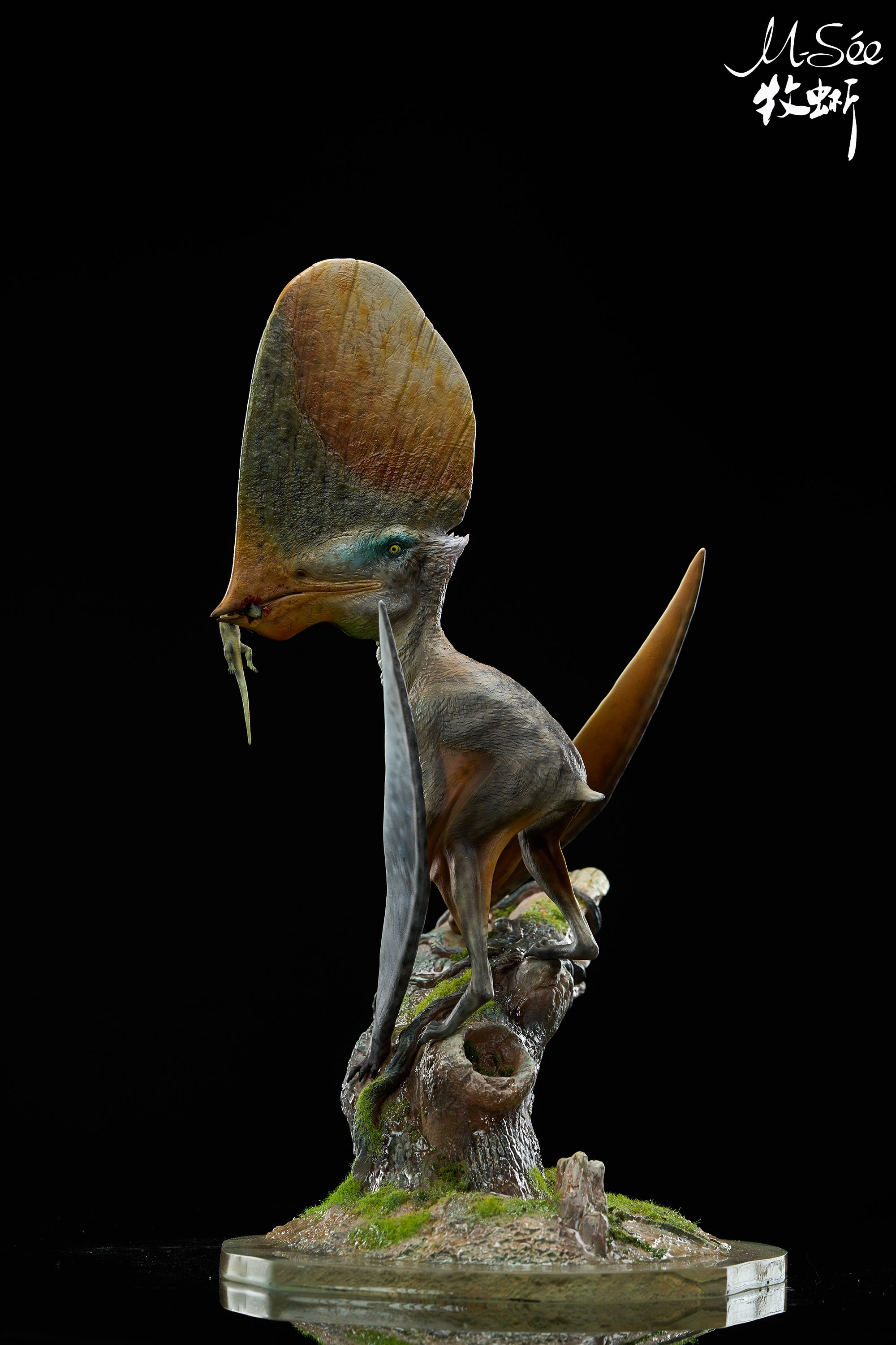 MuSee Studio 1/3 Scale Caiuajara dobruskii Model