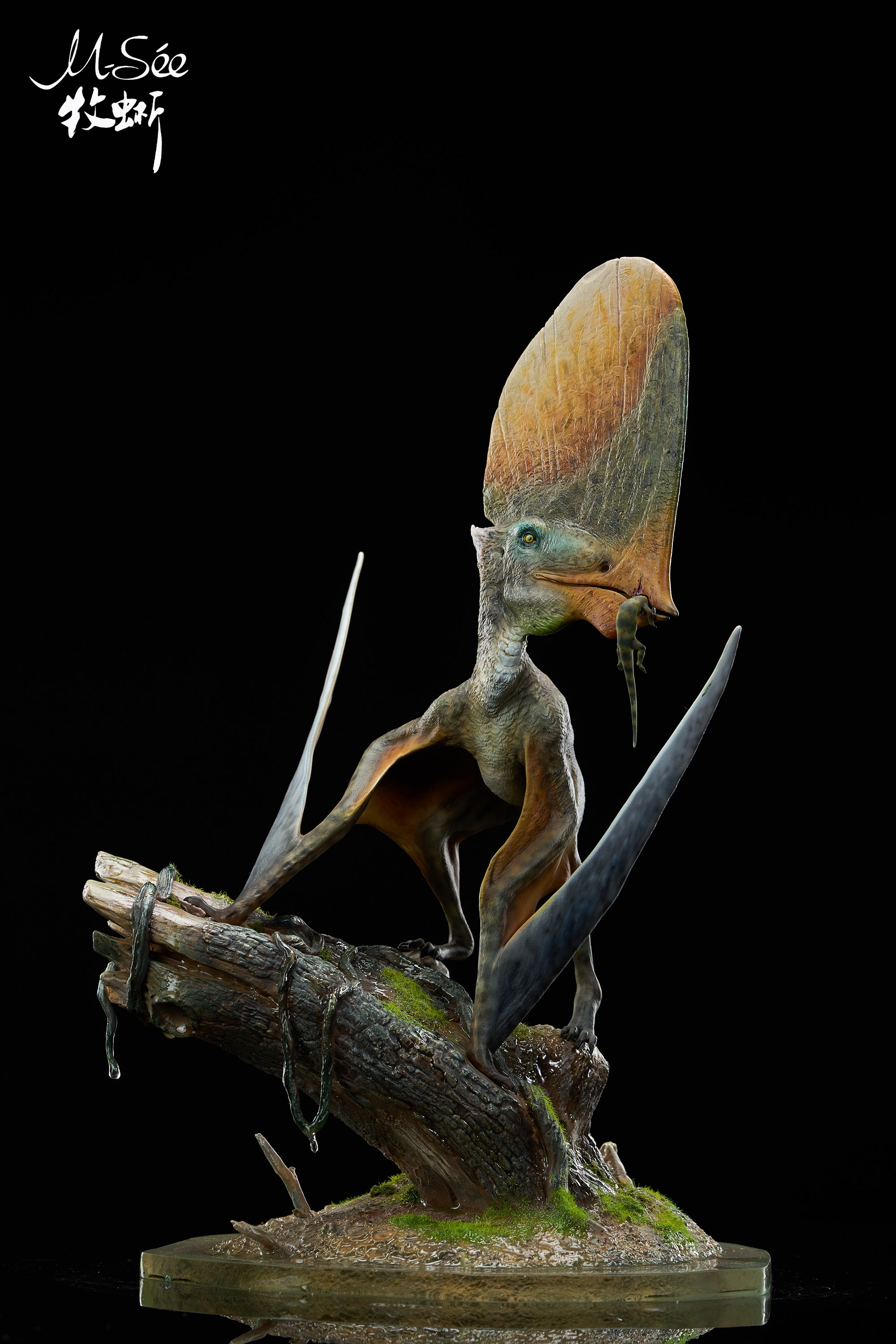 MuSee Studio 1/3 Scale Caiuajara dobruskii Model