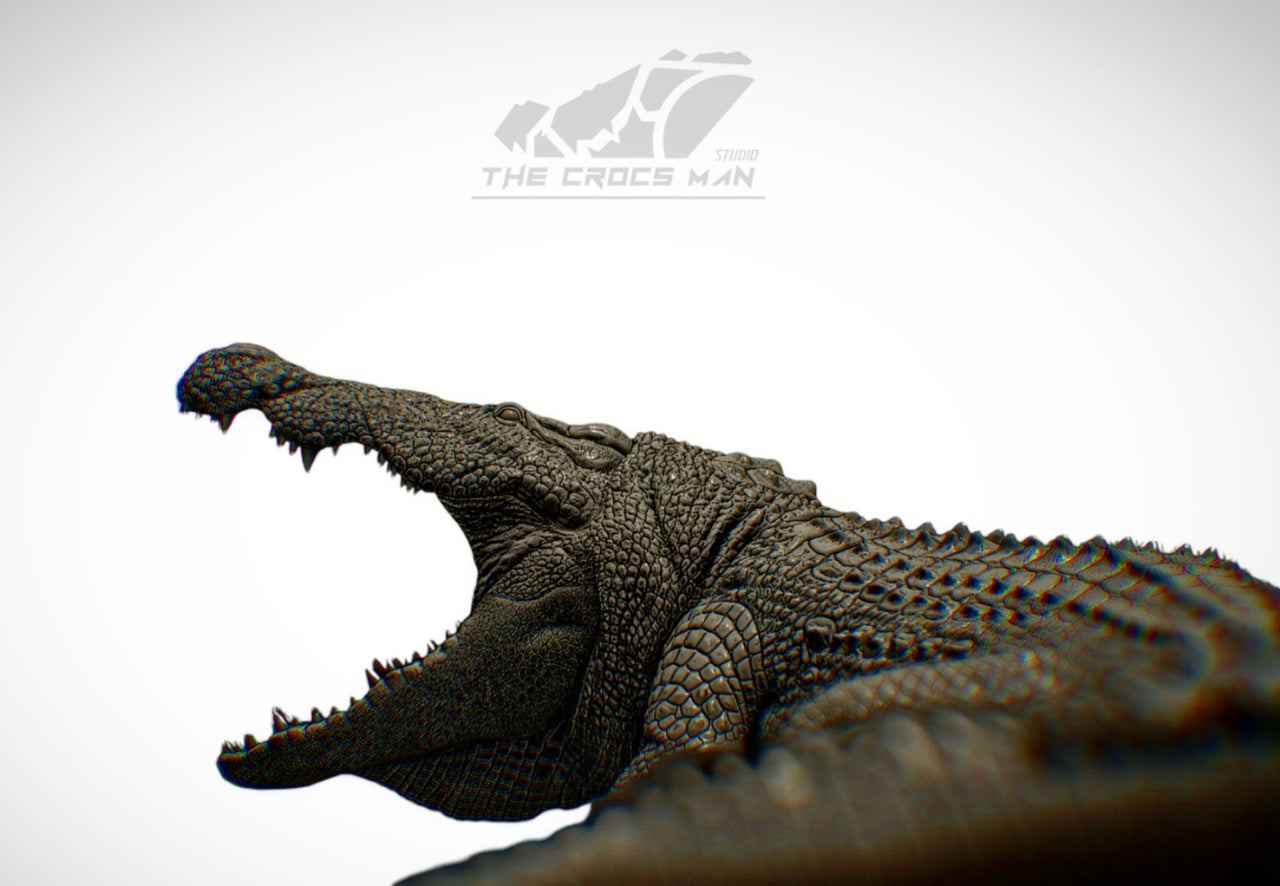 The Crocs Man Studio Nile Crocodile Gustave Model