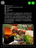 Dino Roll Ancient Beast Ton Ton Series 03 Model