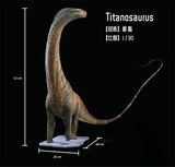 DINO DREAM 1:30 Scale Titanosaurus Model